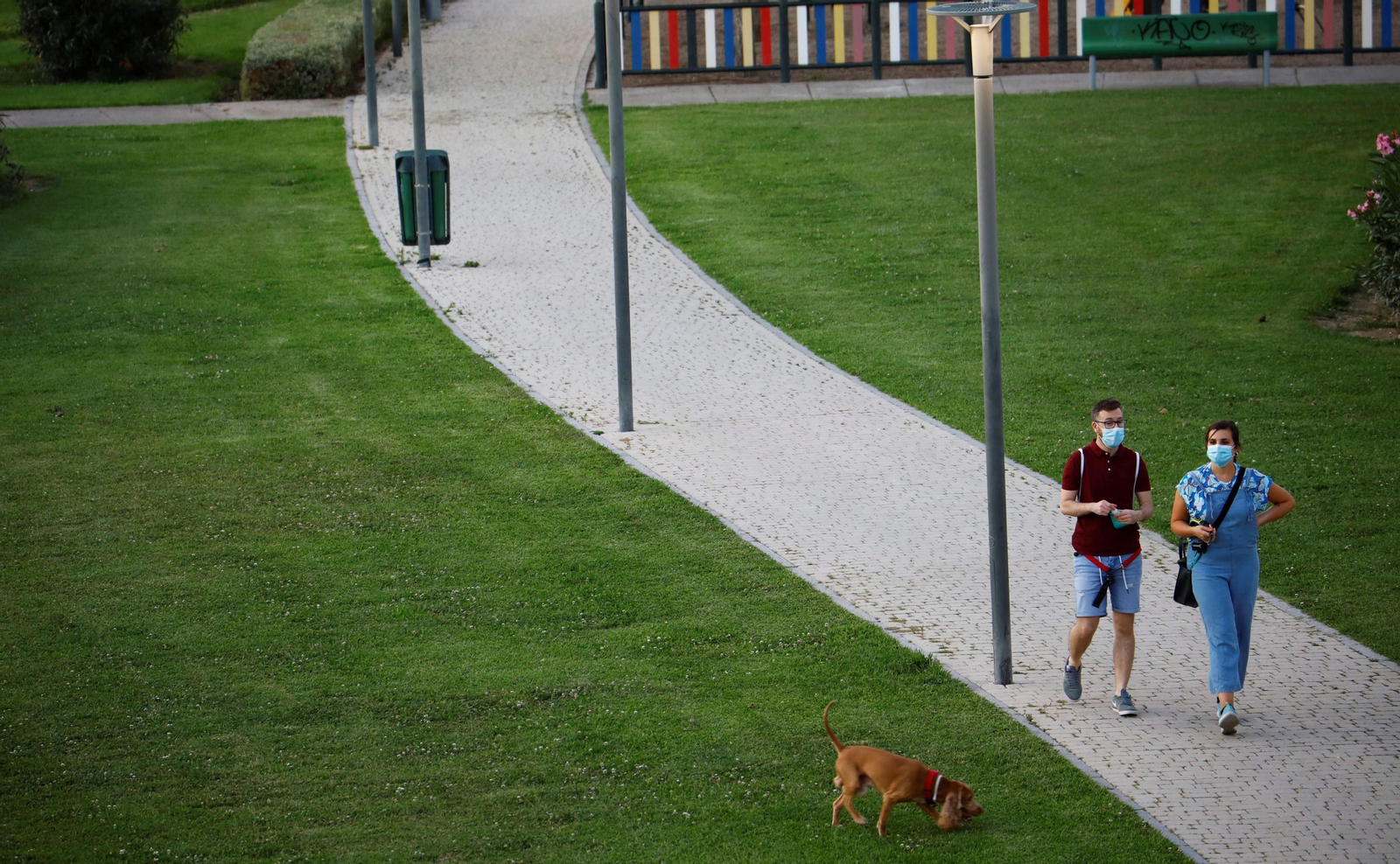Una pareja pasea con mascarillas al perro.