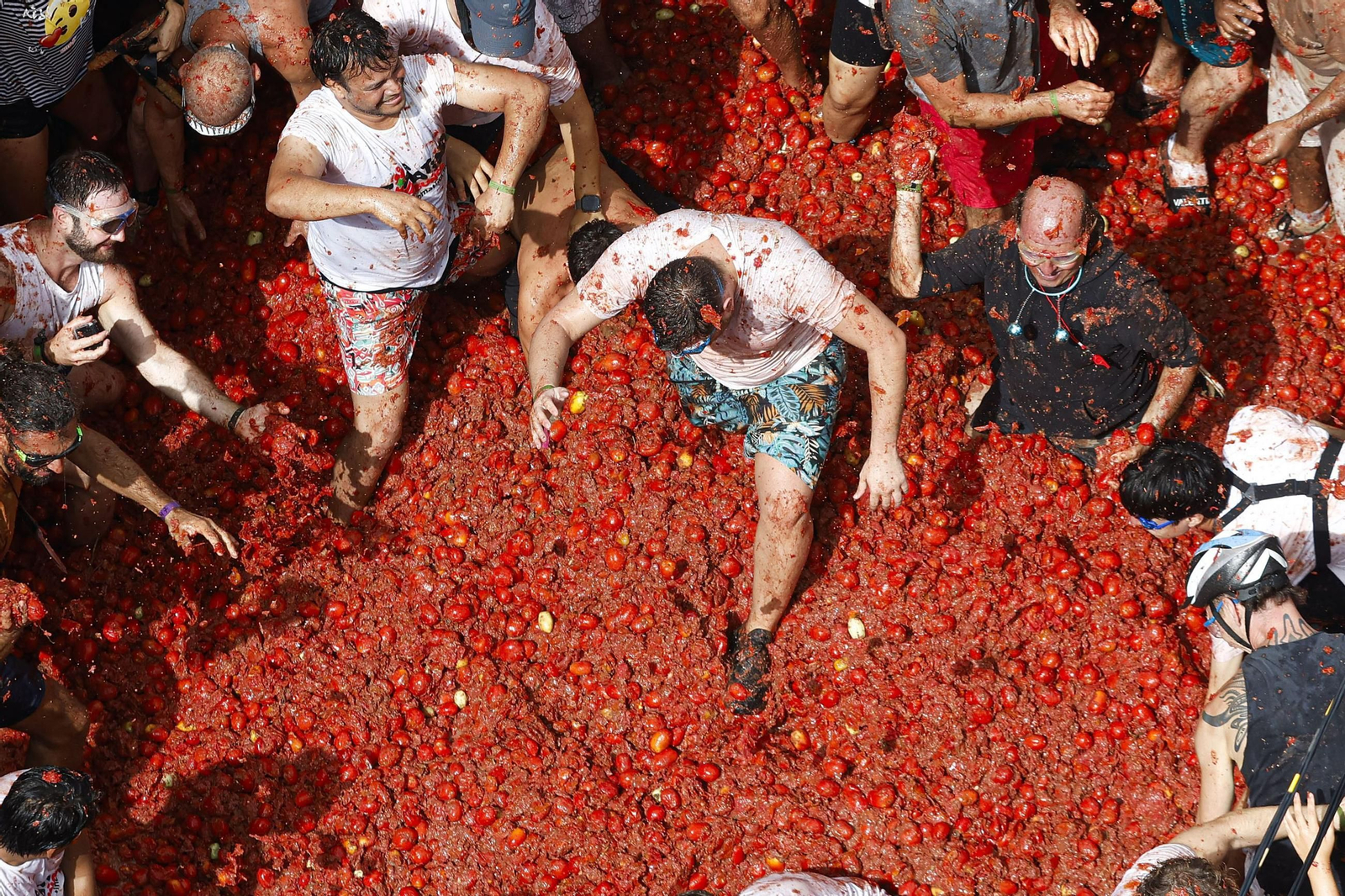 Las mejores fotos de la Tomatina de Buñuel 2025