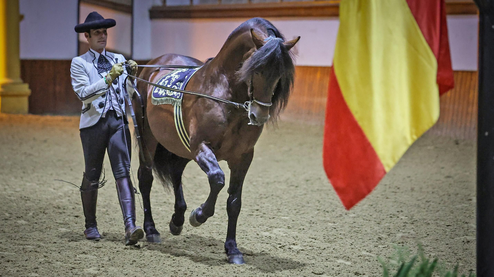 Yente,  el caballo de Jerez mas famoso del mundo