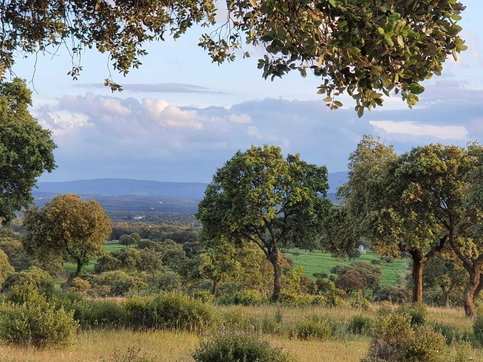 Las fotografías de la primavera en Los Pedroches