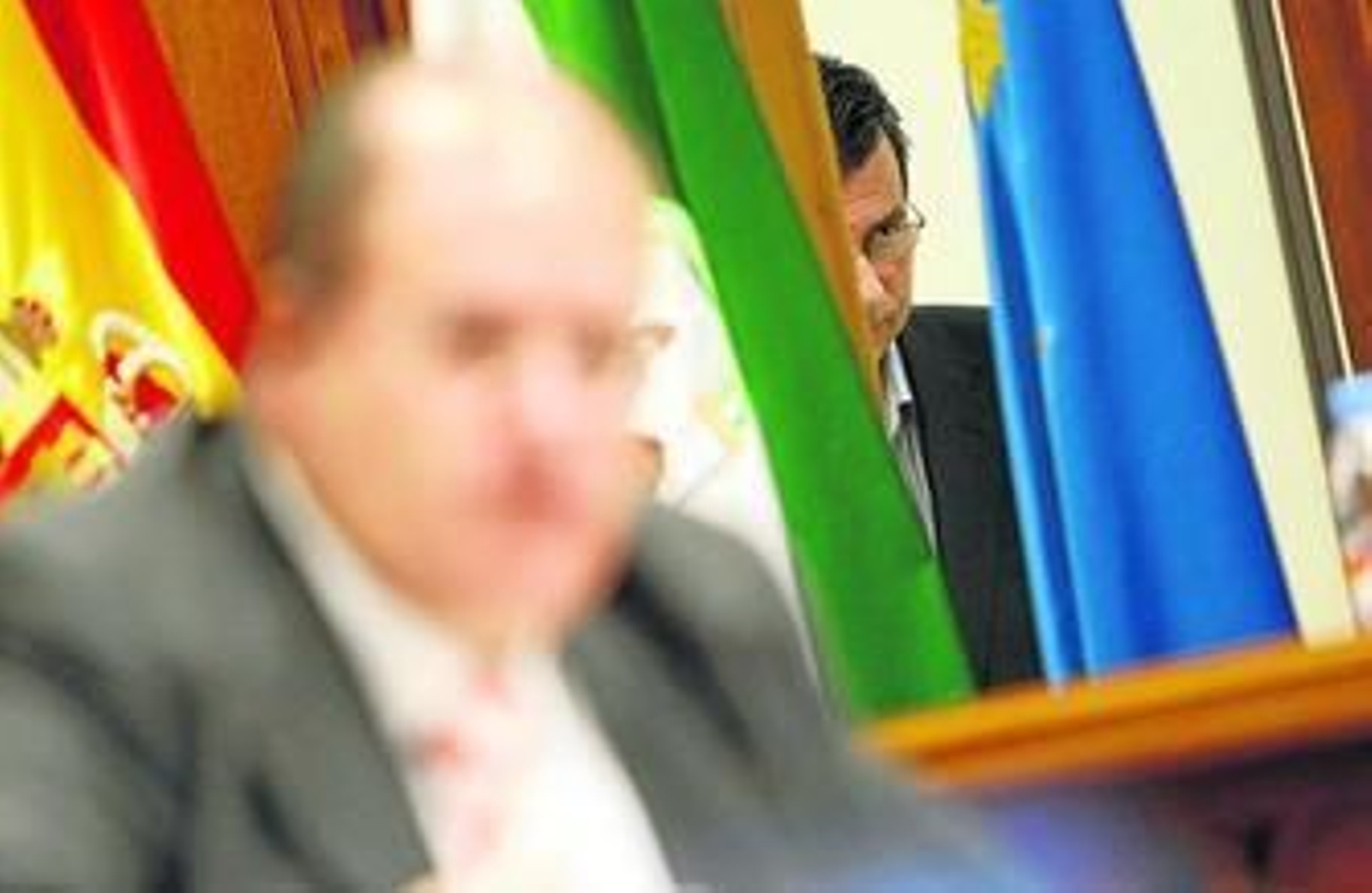 Segura Vizcaíno, al fondo, en un pleno de la Diputación de Almería.