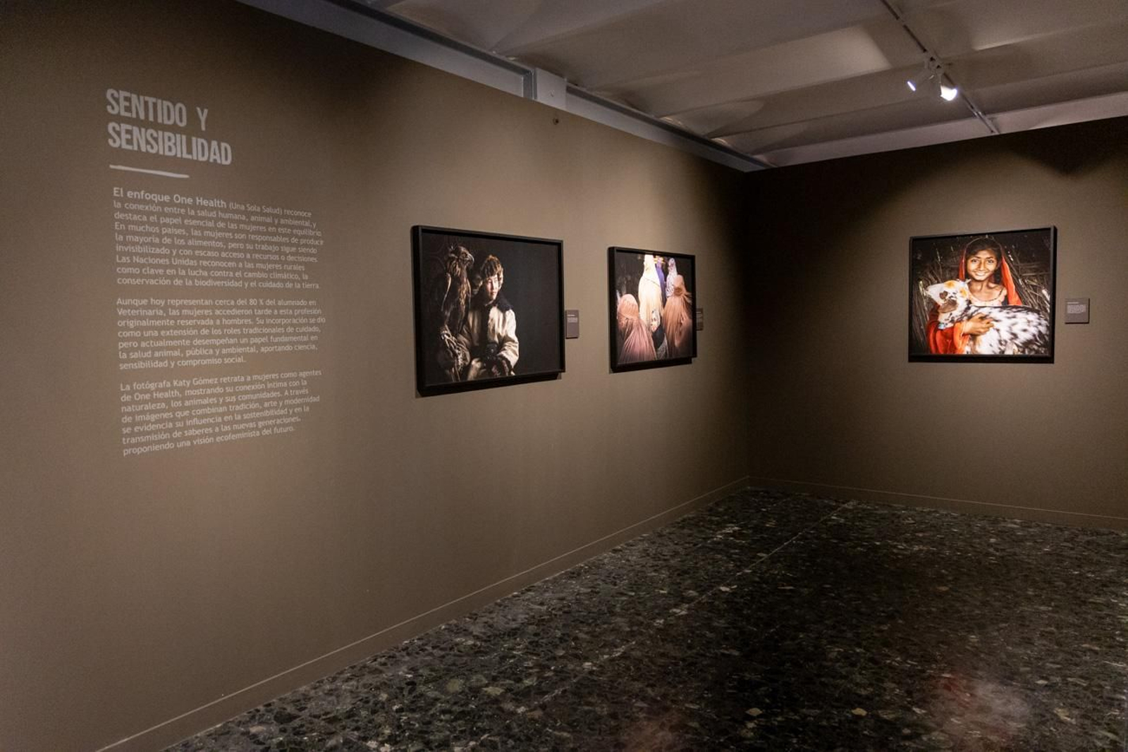 One Health en imágenes: la fotogalería de Katy Gómez que te hará reflexionar sobre la salud global