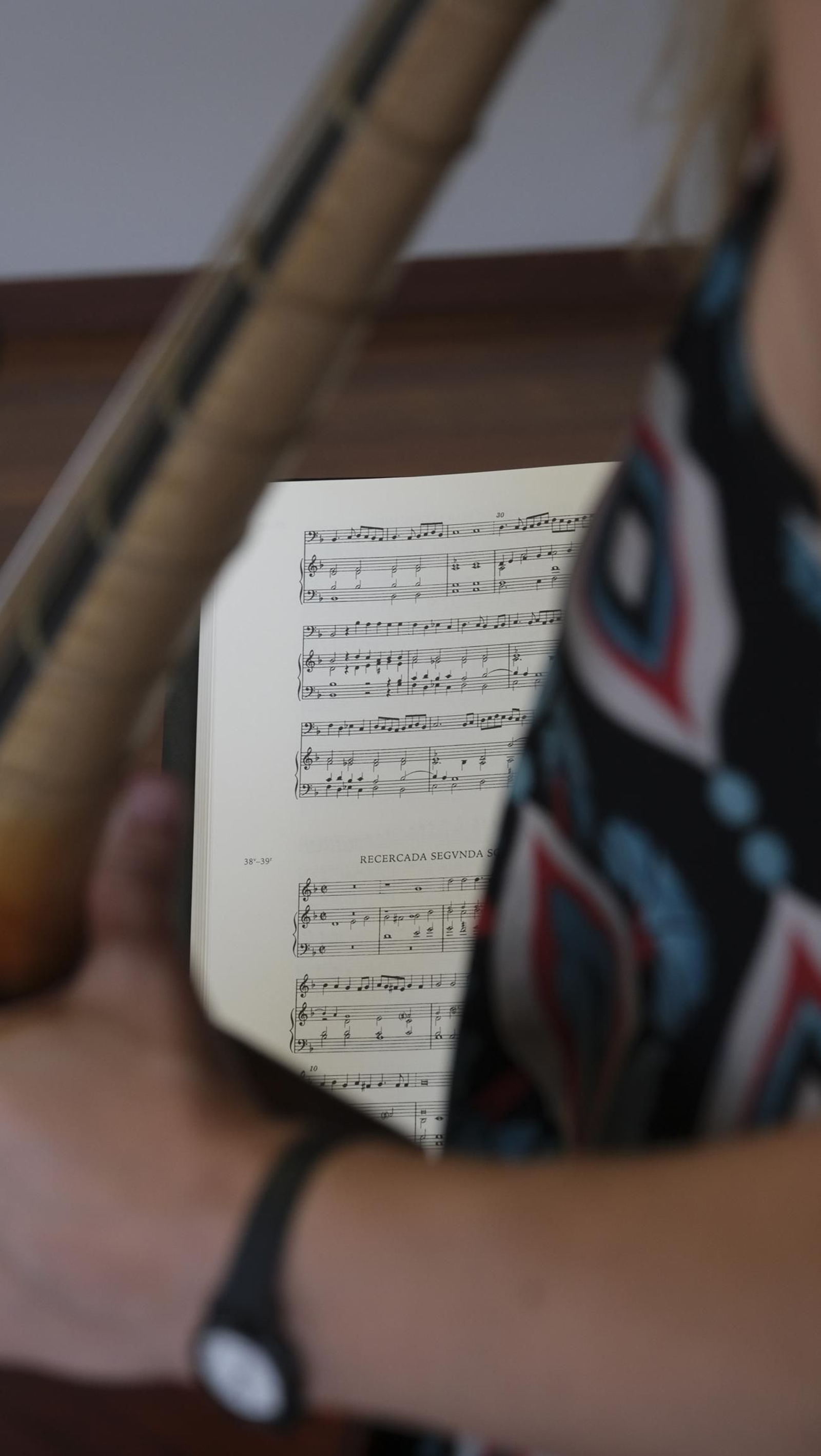 El curso de viola da gamba del Festival de Vélez Blanco, en imágenes