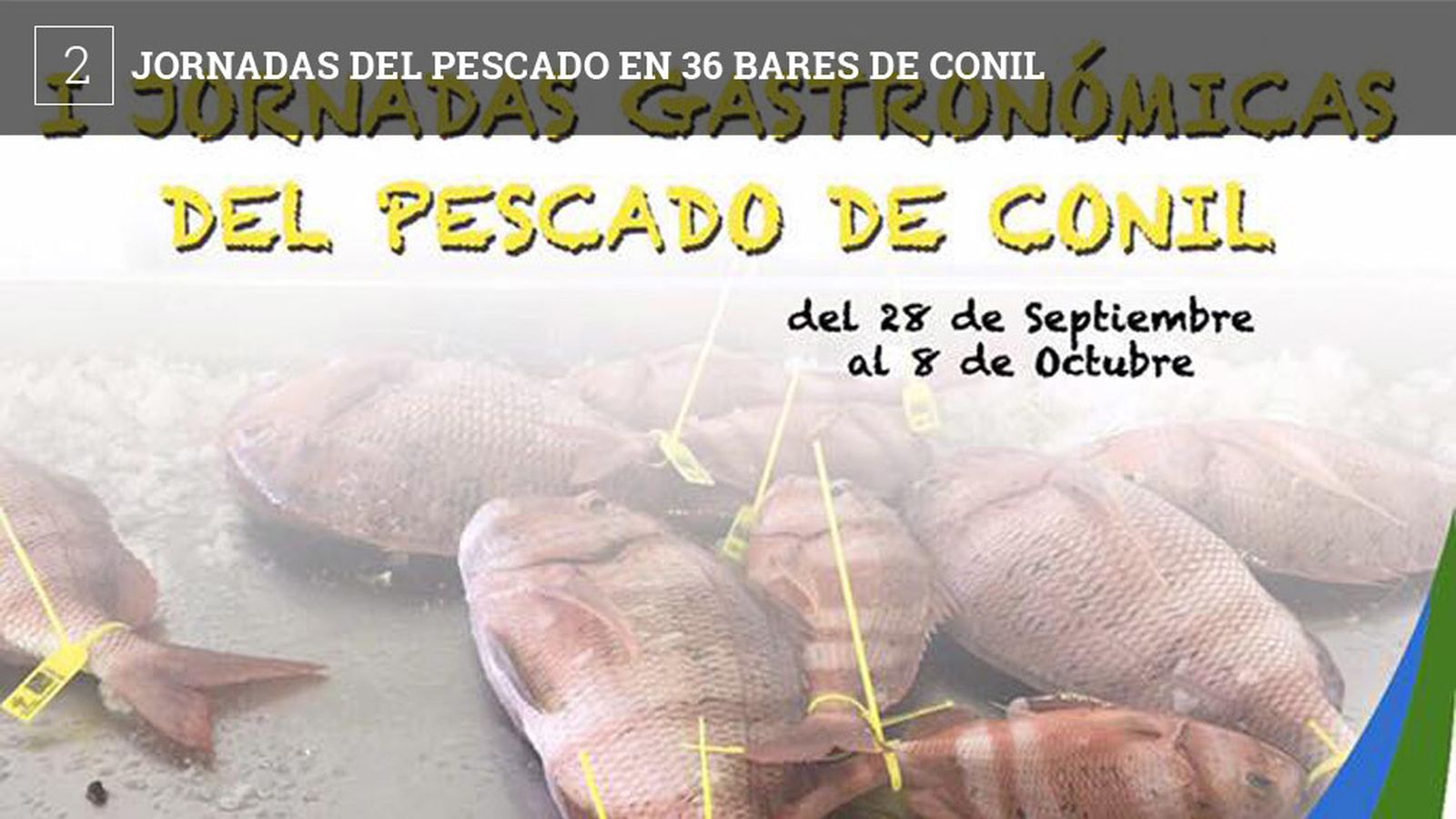 36 bares y restaurantes participarán hasta el domingo 8 de octubre en las primeras jornadas gastronómicas dedicadas al pescado de Conil. Cada establecimiento ofrecerá un plato cuyo protagonista será alguno de los pescados o mariscos que entran en la lonja de Conil. Estos platos tendrán un precio fijo de 6 euros.