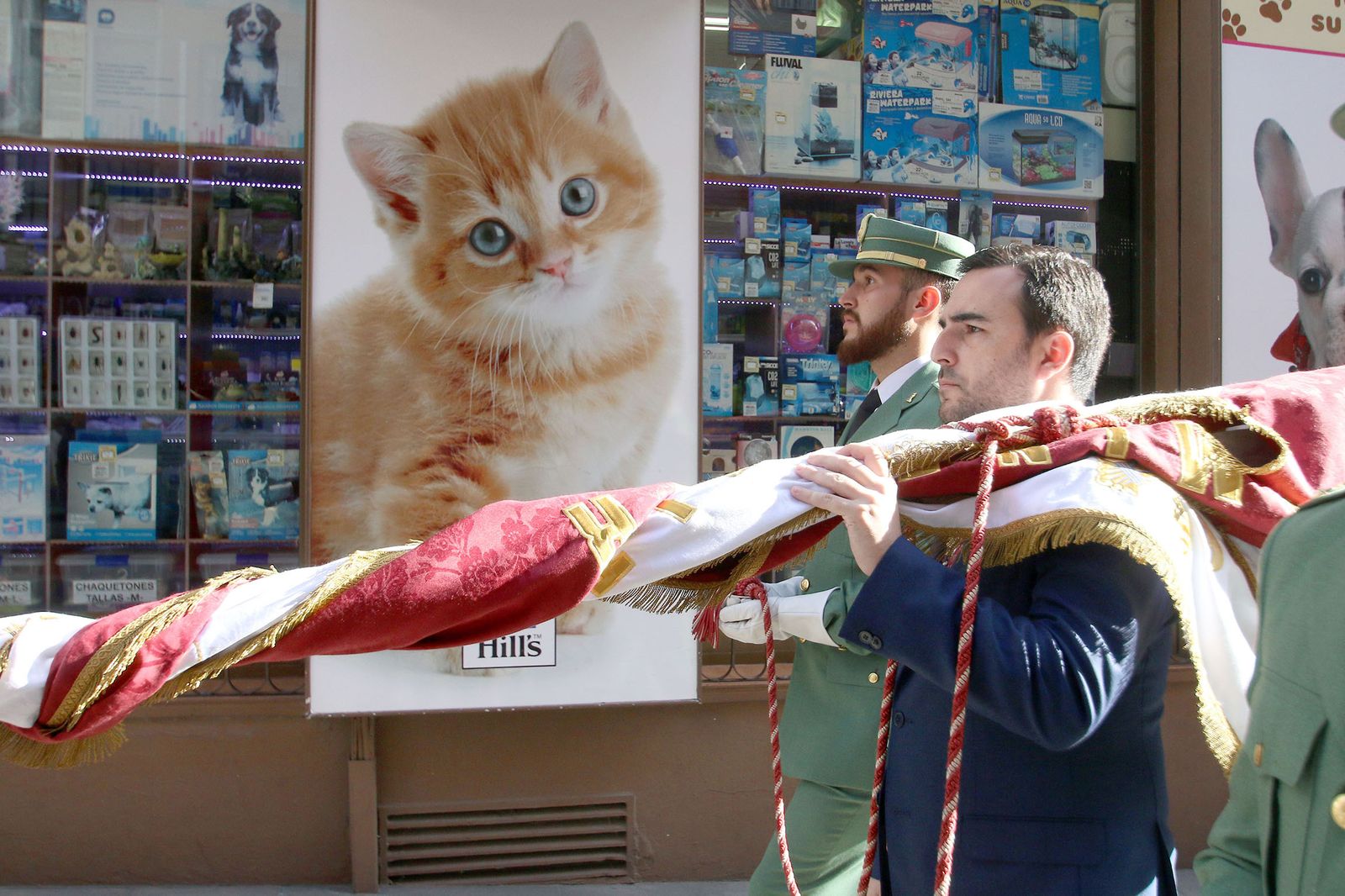 Fotogalería del Día del Pendón