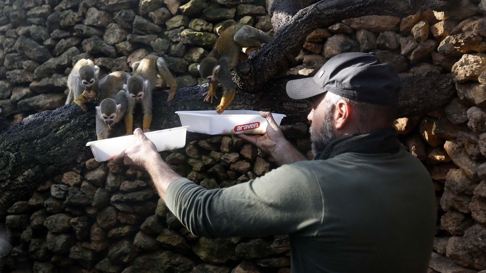 Las fotos del Zoo de Castellar de la Frontera