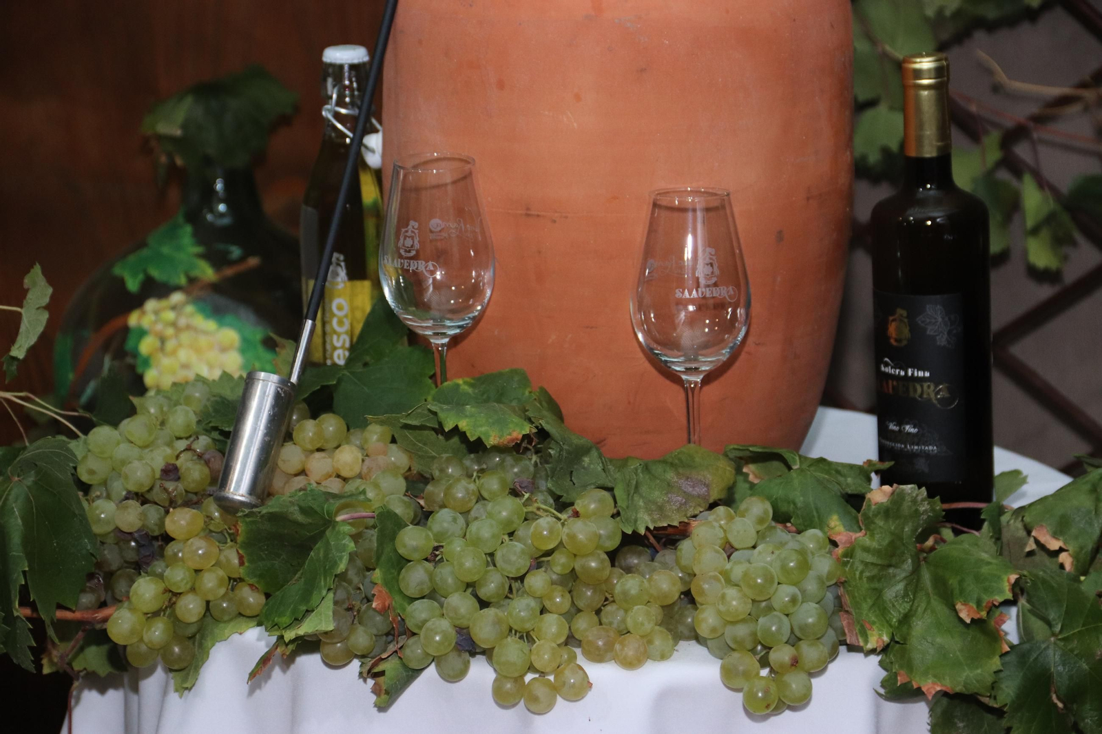 Diferentes referencias de vino