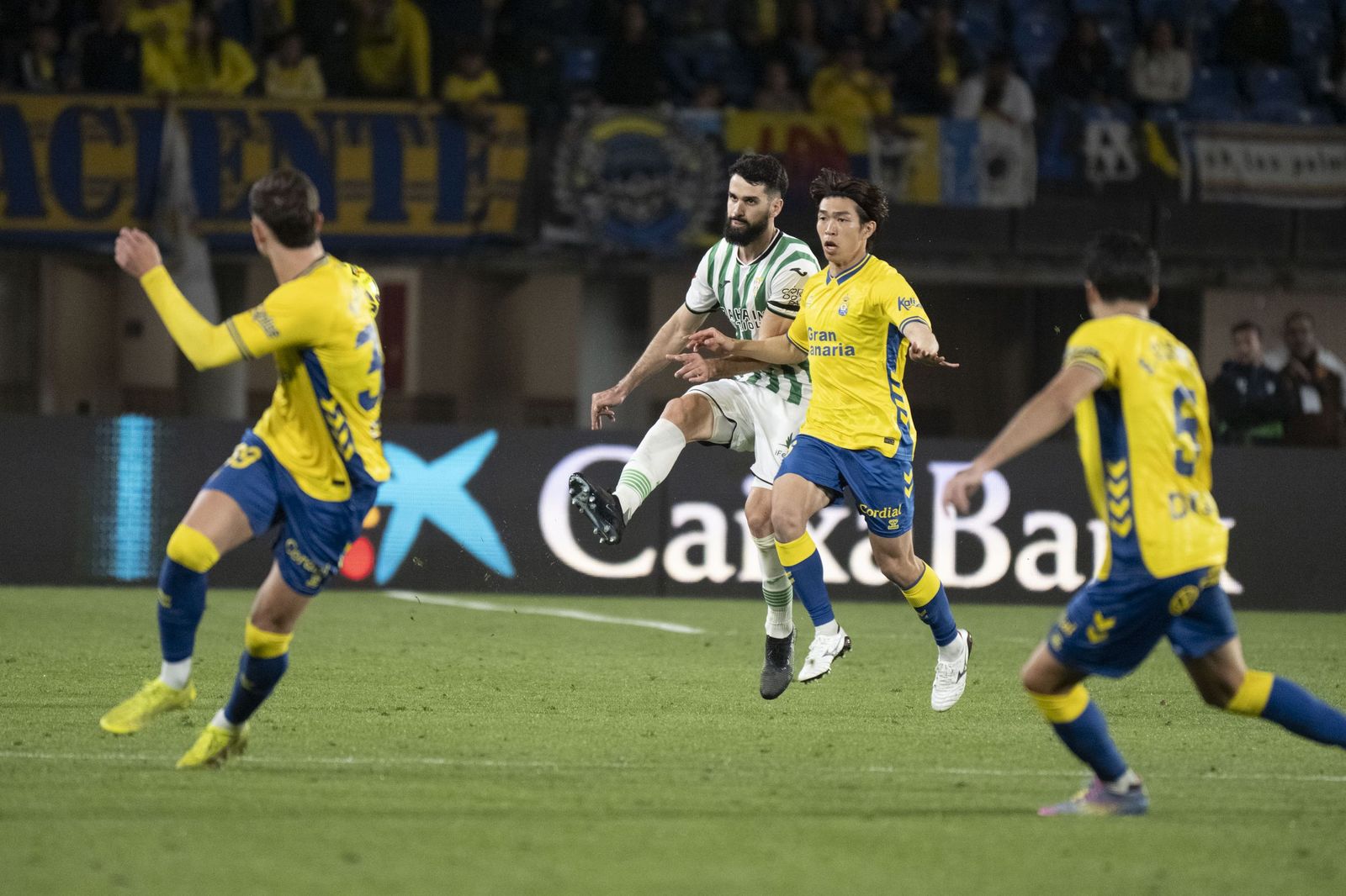 Las mejores fotos del triunfo del Córdoba CF ante Las Palmas