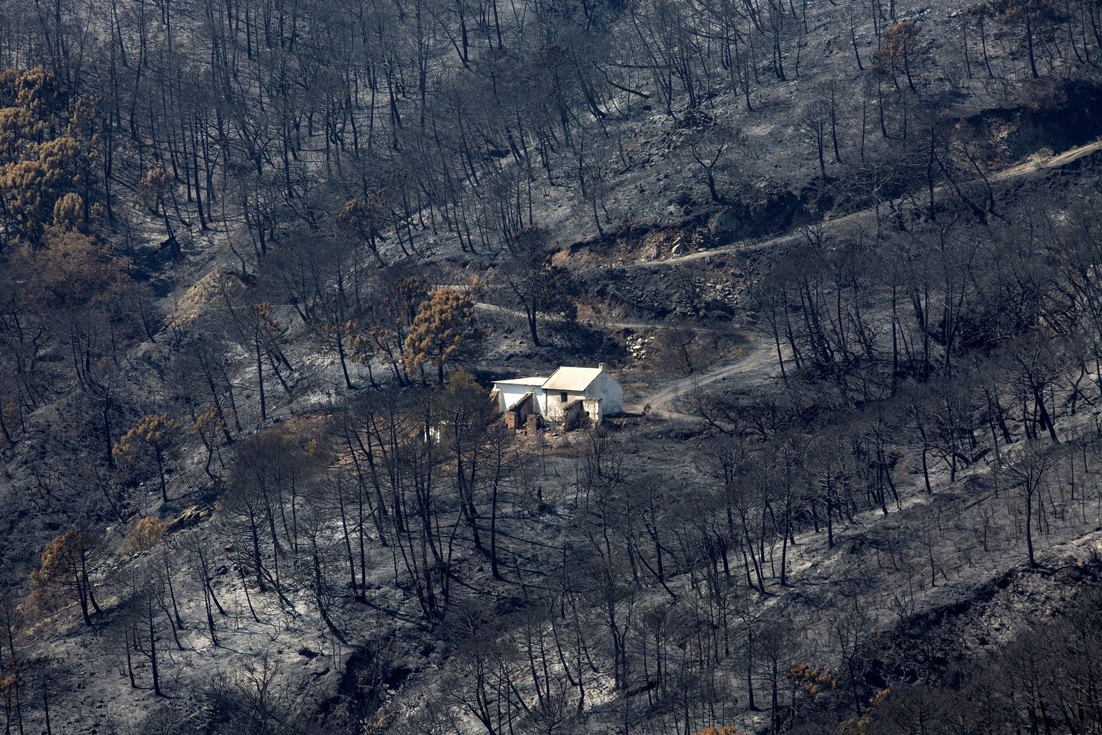 Una construcción en una ladera quemada por el incendio de Sierra Bermeja.