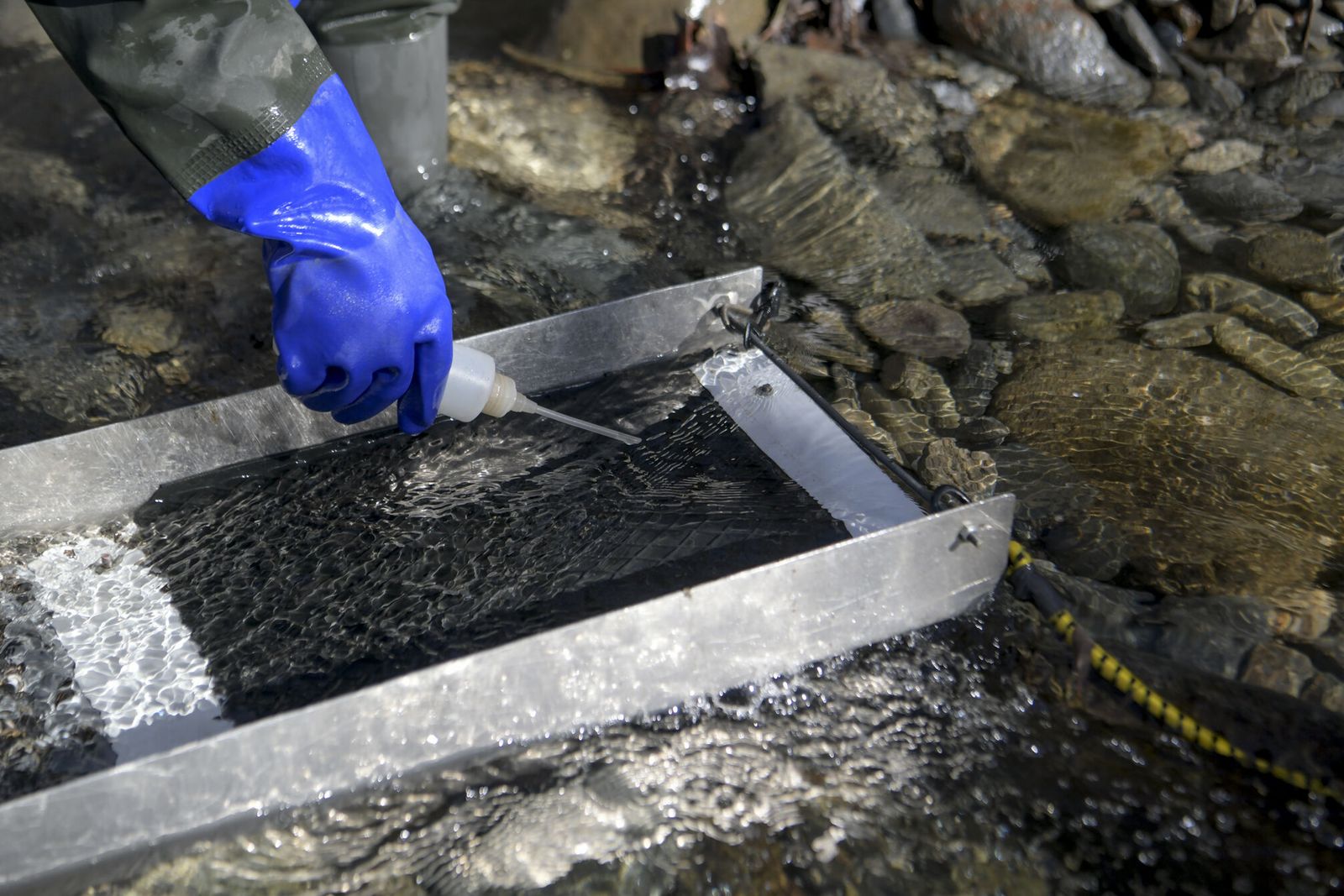 Así es el trabajo de Fernando Díaz, el buscador del 'oro olvidado' del río Genil