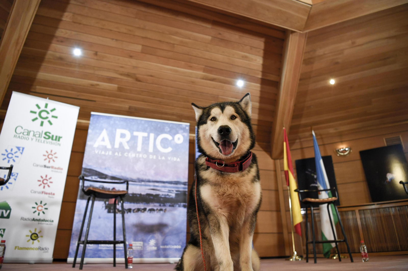 Fotos de 'Desafío Ártico' en Granada, Desafío Ártico', docuserie sobre una expedición al Polo Norte
