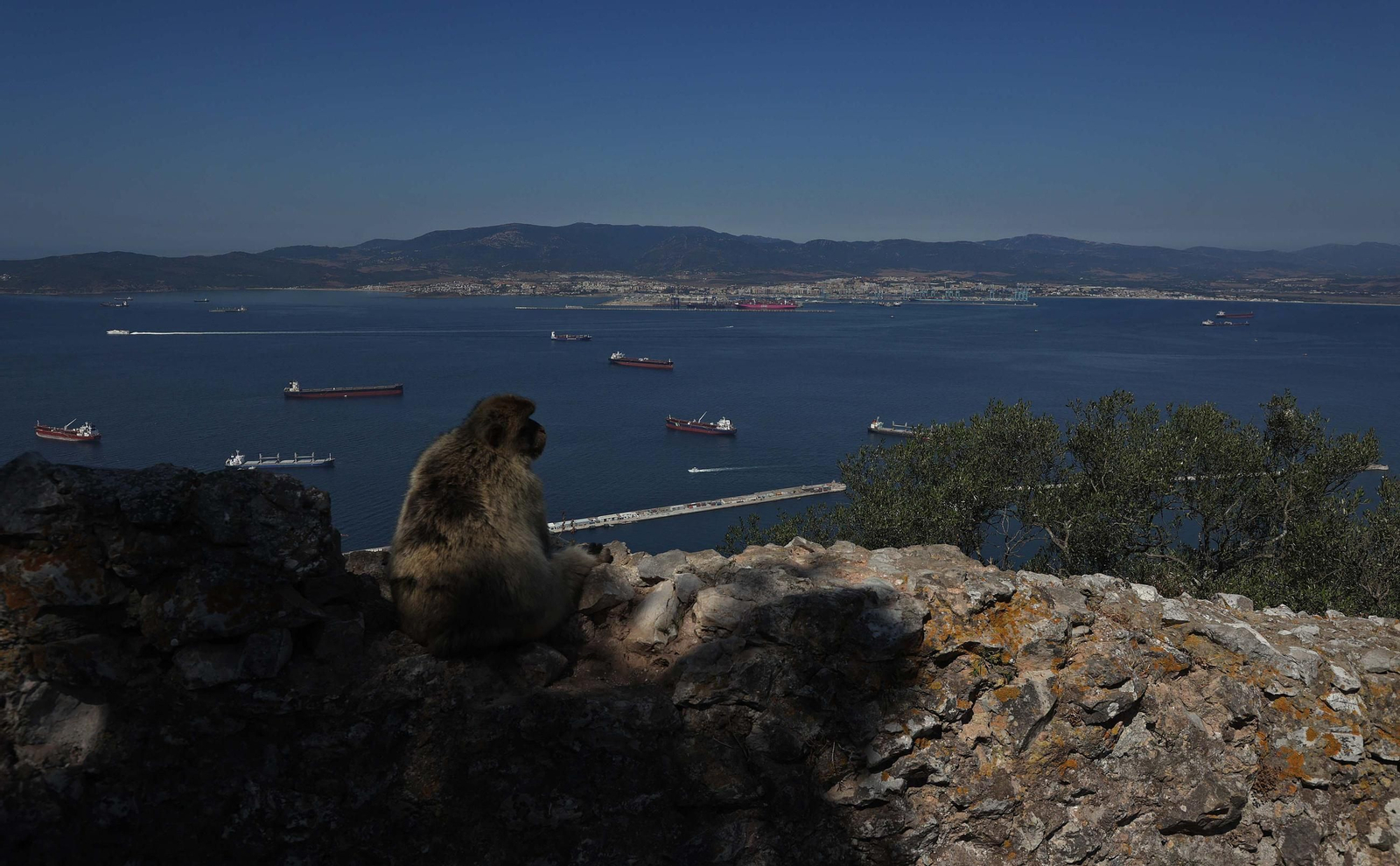 La Bahía de Algeciras, vista desde Gibraltar.