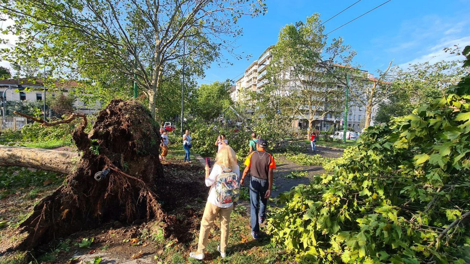 Árboles caídos durante la tormenta en Milán.