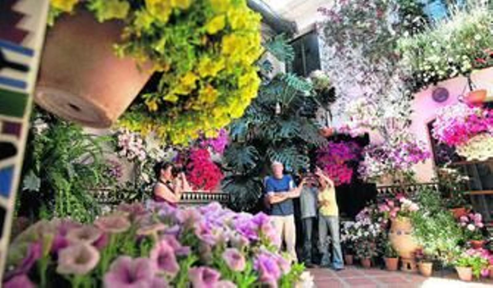 Si se tiene precaución con las plantas se puede mantener el jardín bonito aunque haga calor.