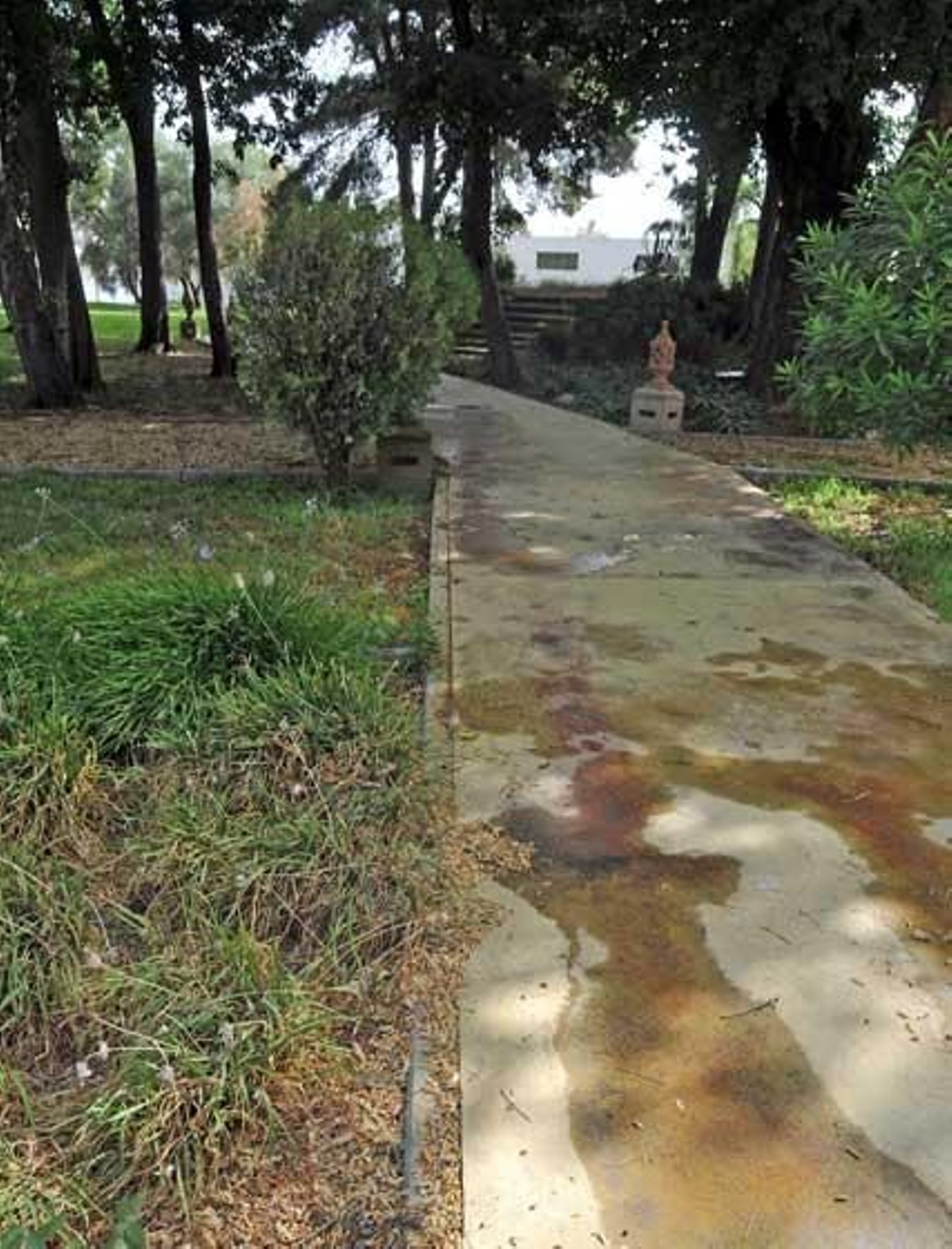 El vacío de competencias que parecen tener tanto el Ayuntamiento de Jerez como la Diputación de Cádiz, los dos patronos de la Fundación Andrés de Ribera ha provocado una situación de absoluta dejadez

Foto: Manuel Aranda