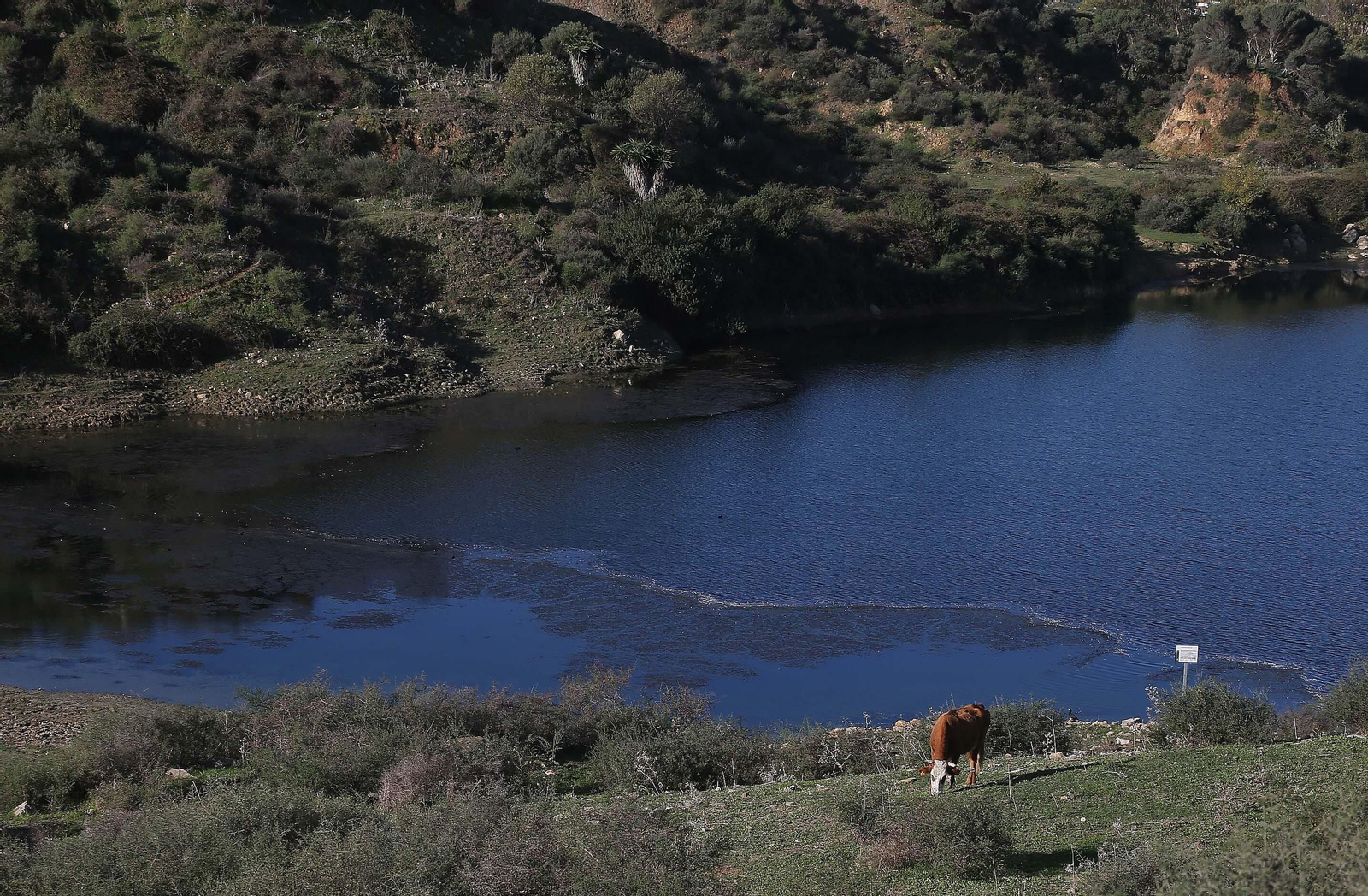 Imágenes del acuífero de la Huerta de Las Pilas en Algeciras