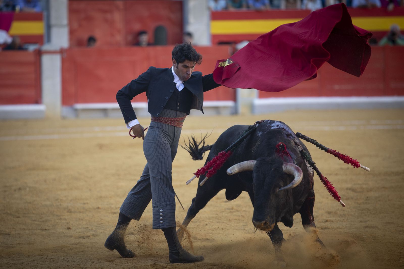 Las mejores imágenes del Festival Taurino en beneficio de Granadadown