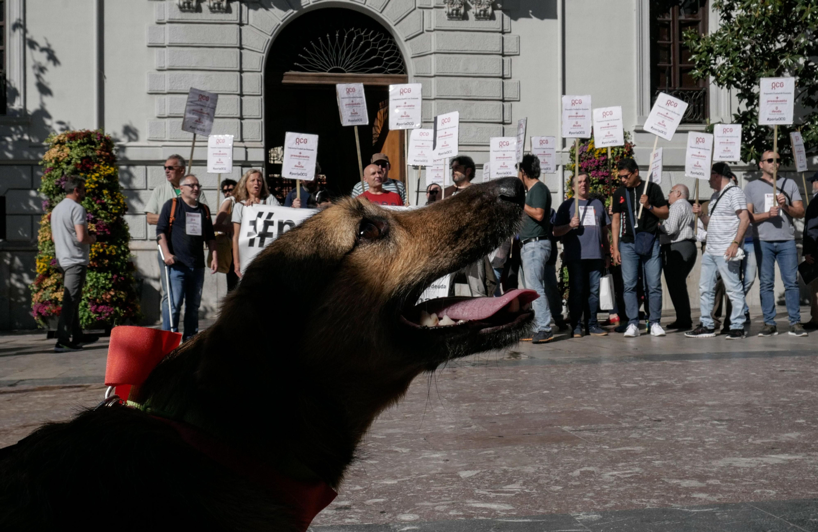 Imágenes de la protesta de la OGC Imágenes de la protesta de la OGC