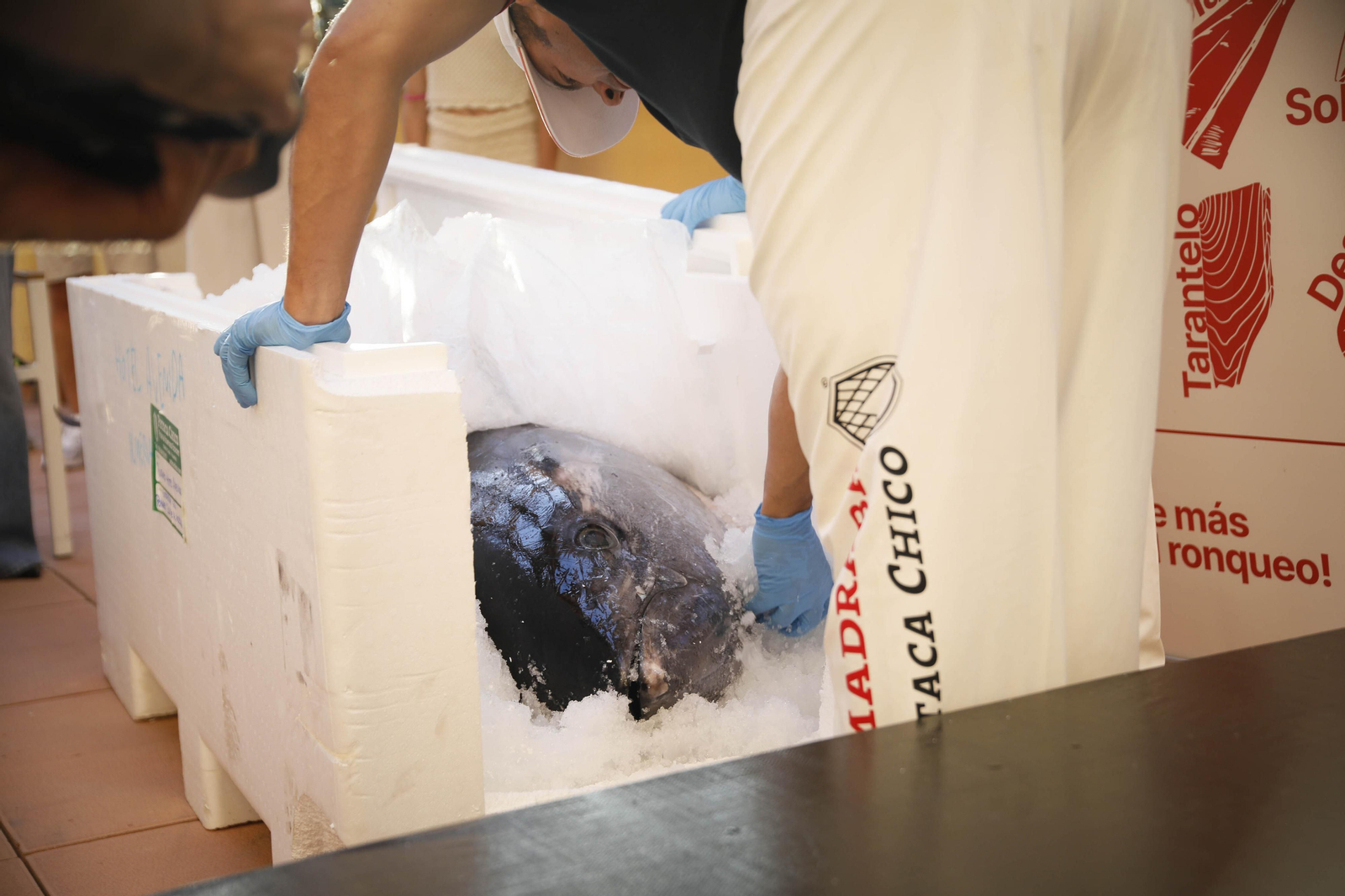 El ronqueo del atún en el Espacio Gatronómico Tony García, en imágenes