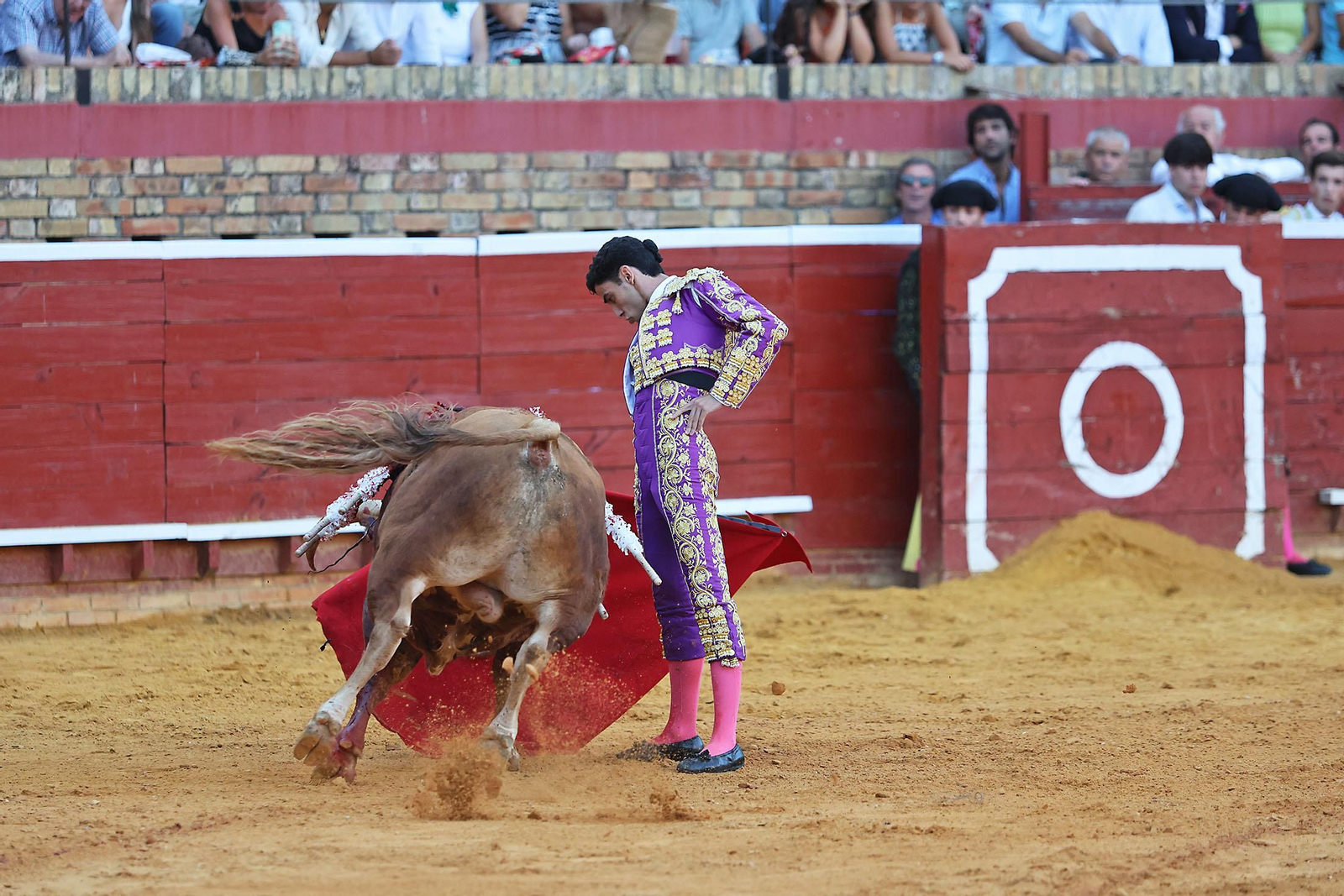Toros La Merced 2024 Novillada con picadores(