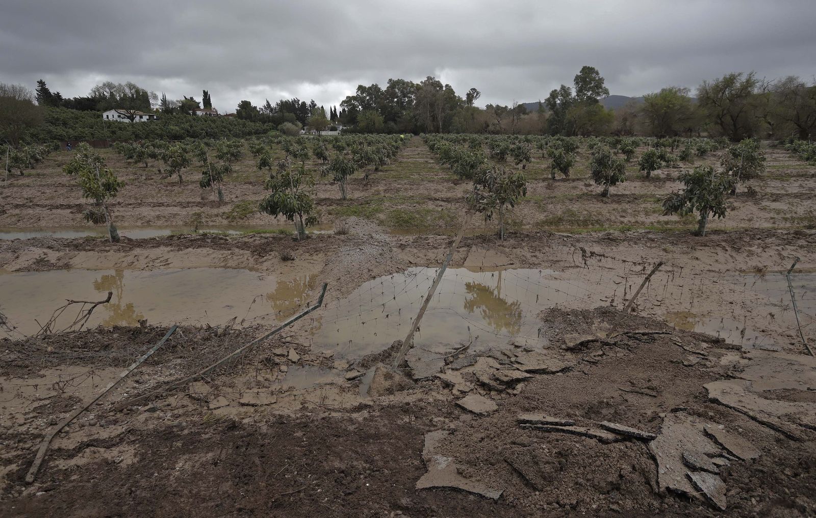 Fotos de los desperfectos provocados por las borrascas en Jimena de la Frontera
