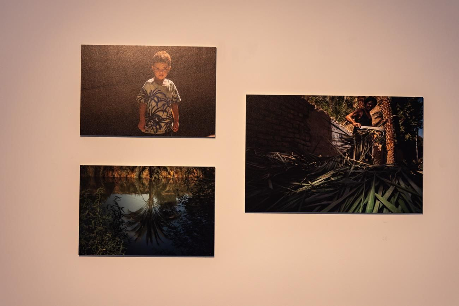 Egipto en Jaén: los bosques sagrados del país del Nilo cobran vida en imágenes