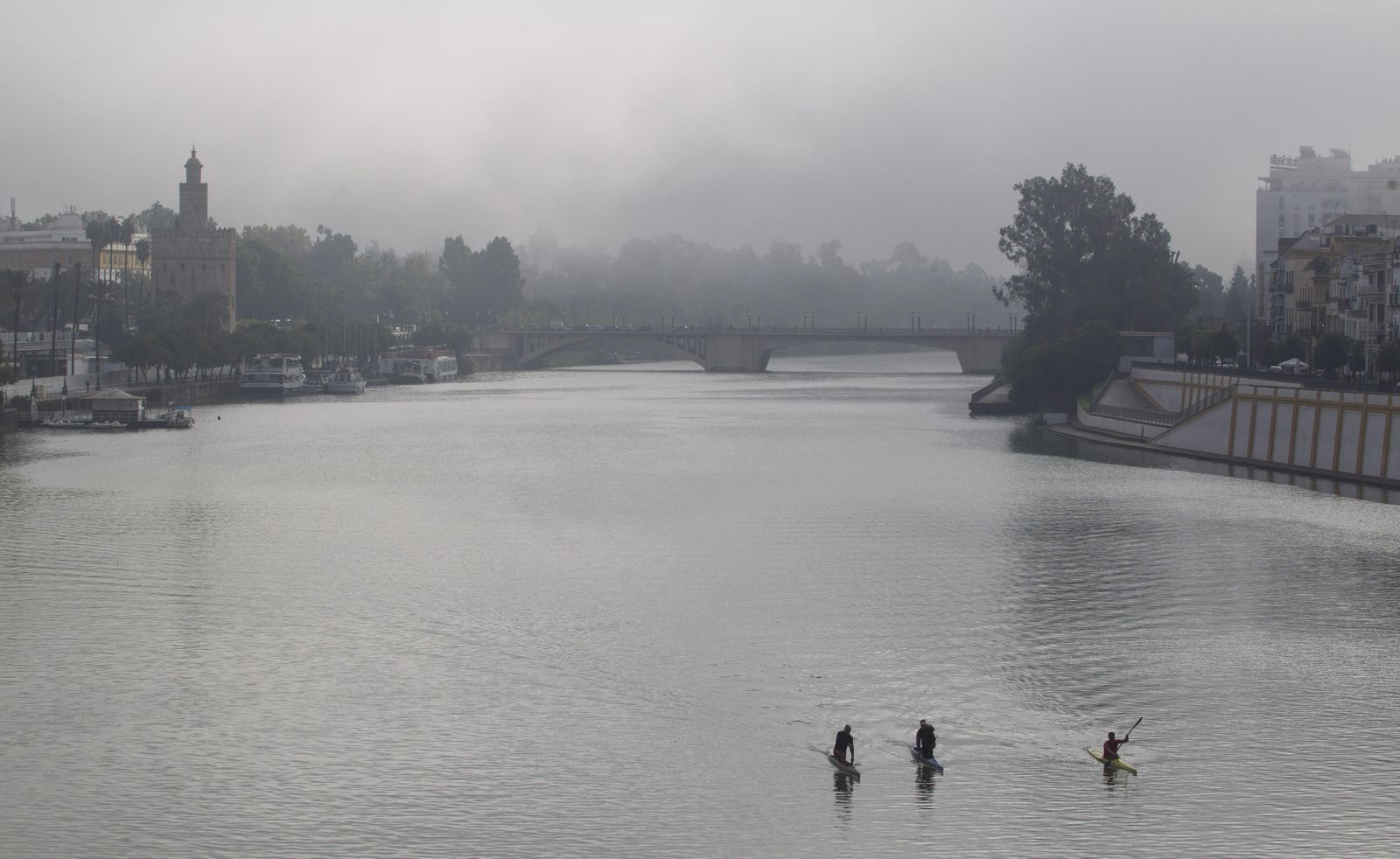 Mañana con niebla en Sevilla
