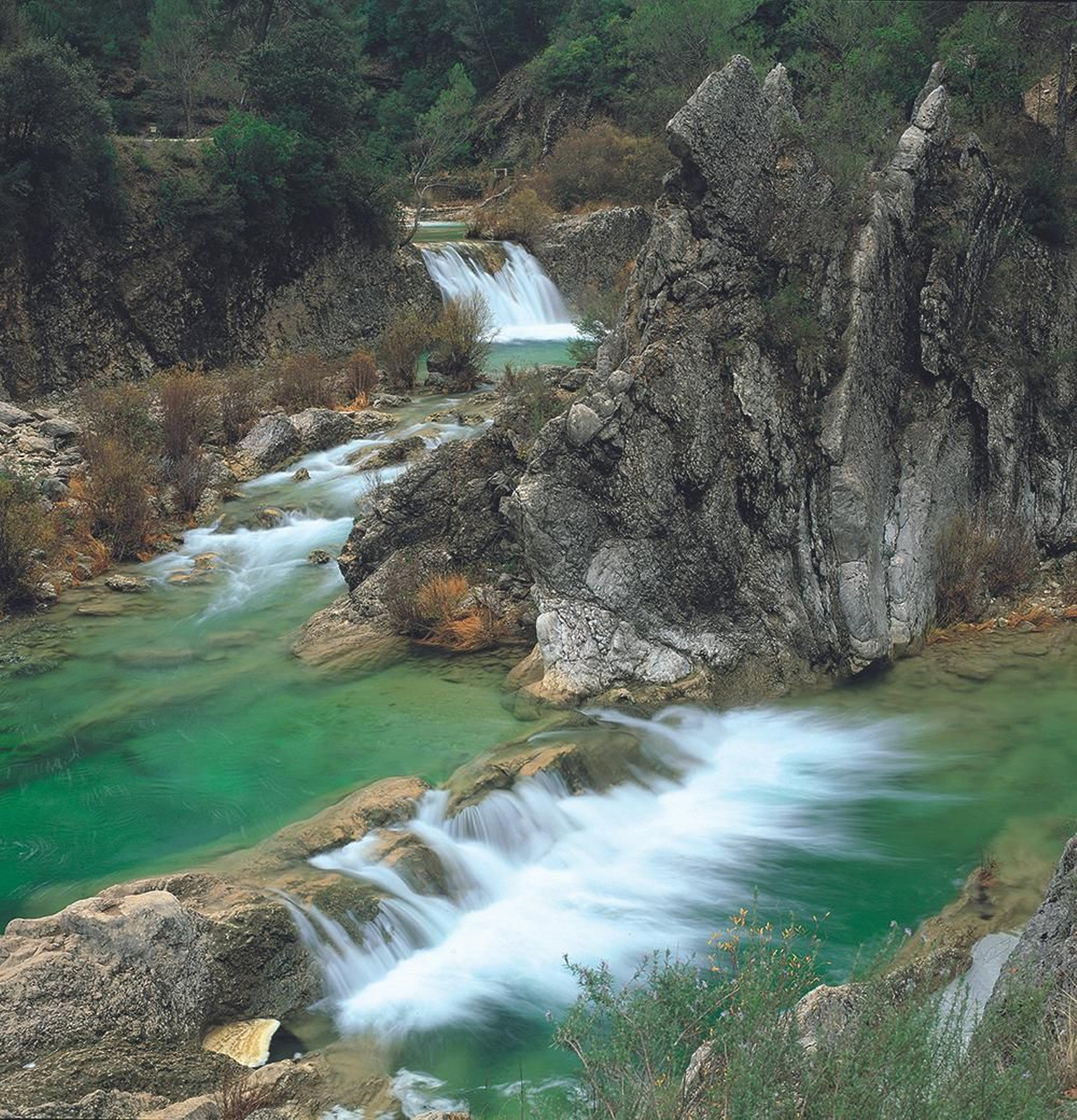 Una de las propuestas es un viaje de ida y vuelta al Nacimiento del río Guadalquivir.