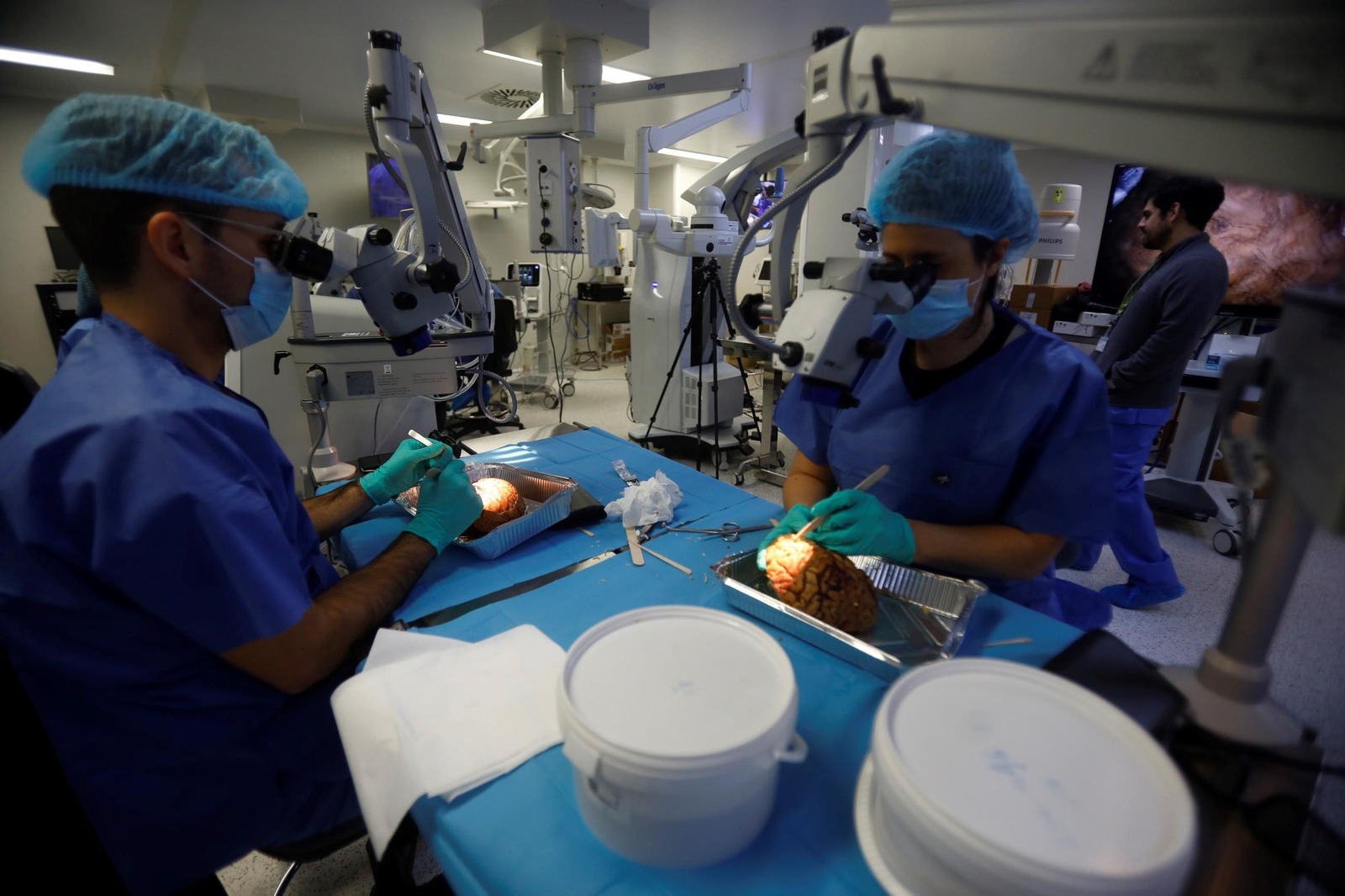 El curso en el que neurocirujanos del Hospital Reina Sofía estudian el cerebro, en imágenes