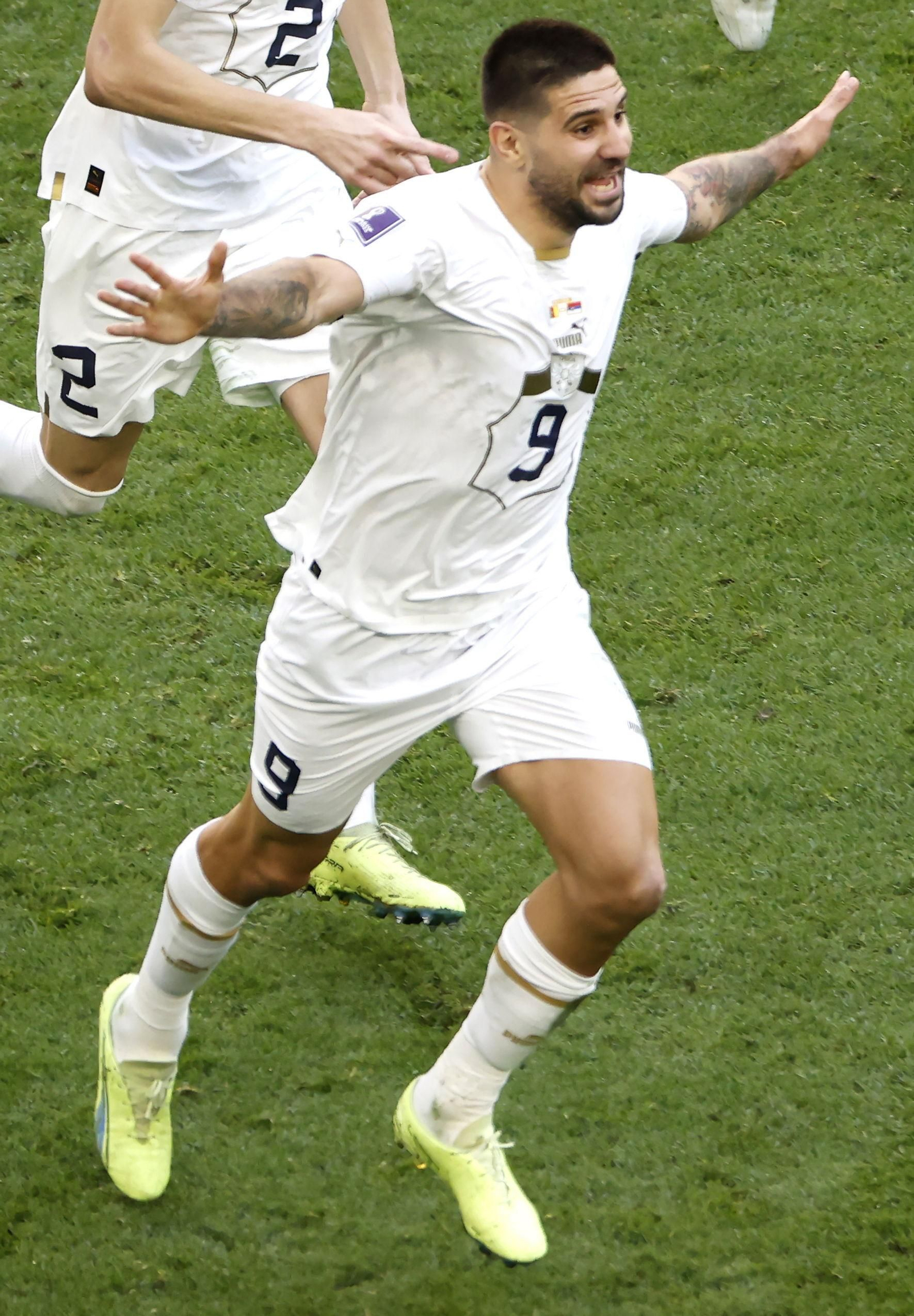 Las imágenes del Camerún - Serbia