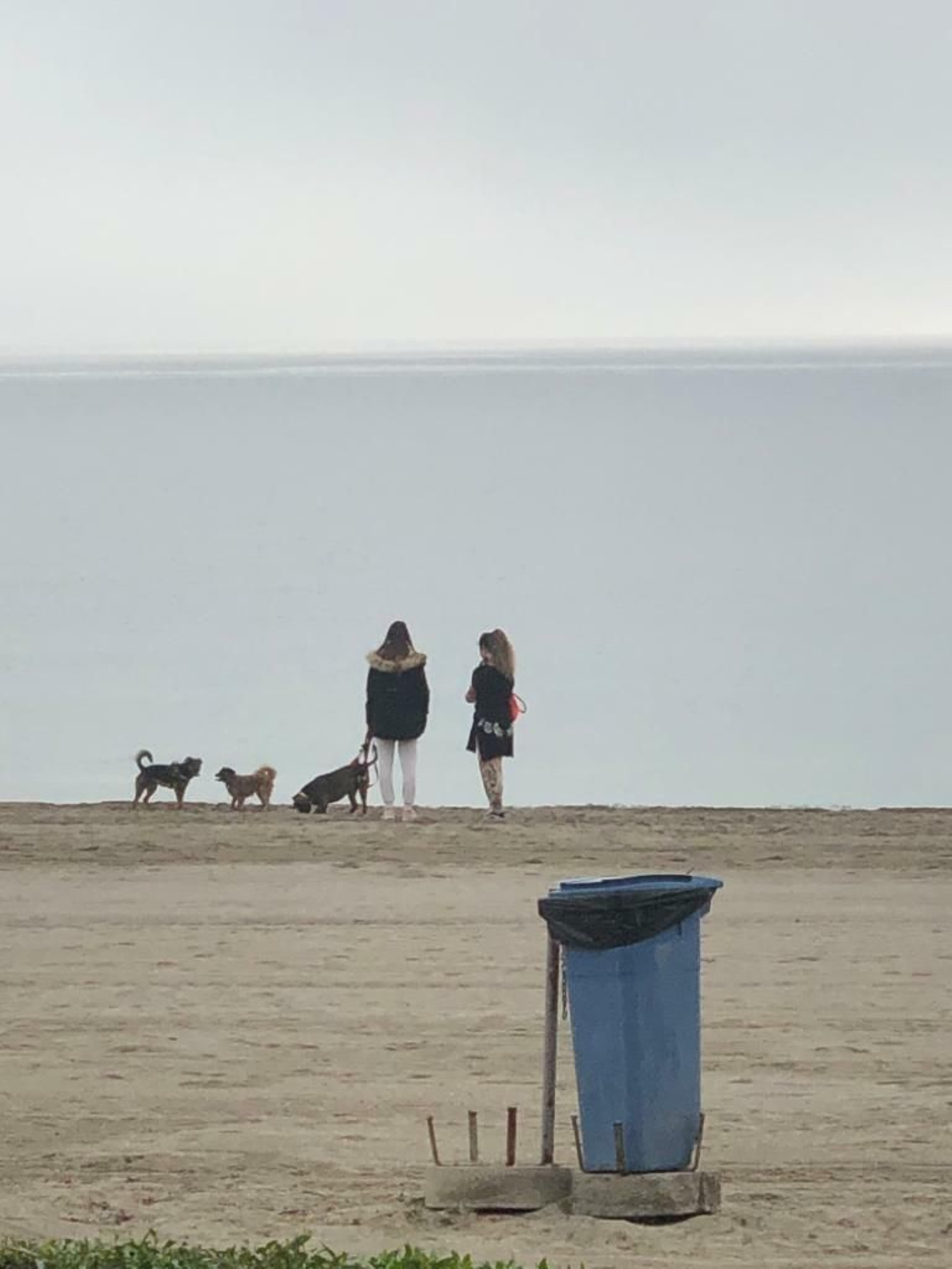 Dos mujeres paseando a tres perros por la playa.
