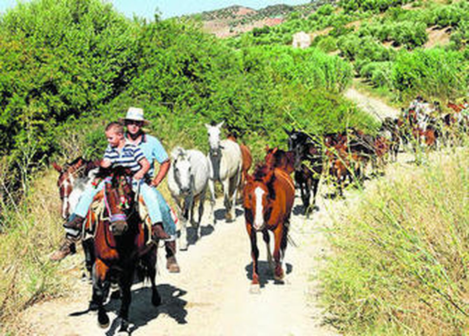 1. La caravana de ganado discurriendo por la Vía Verde de la Sierra, una vez abandonada la localidad de Pruna. 2. El ganado abandona Pruna en busca de la vía pecuaria. 3. Por el interior del pueblo de la Sierra Sur.
