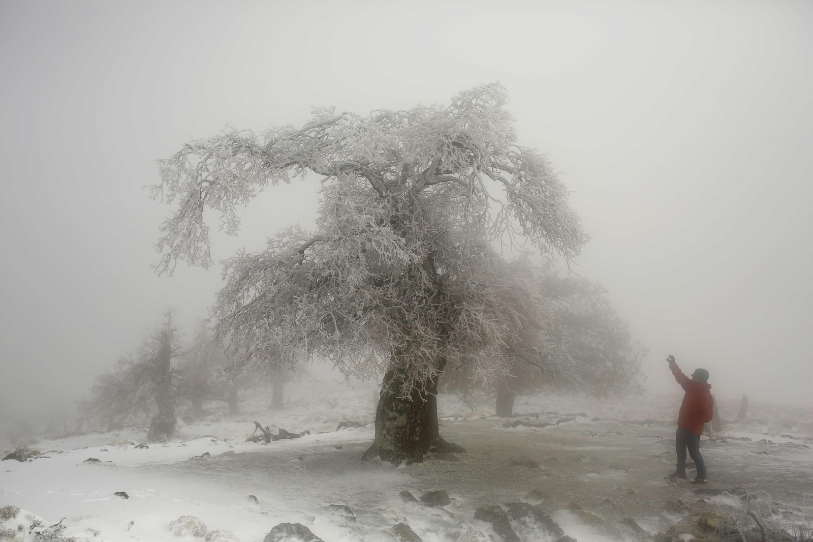 La Sierra de las Nieves, en fotos