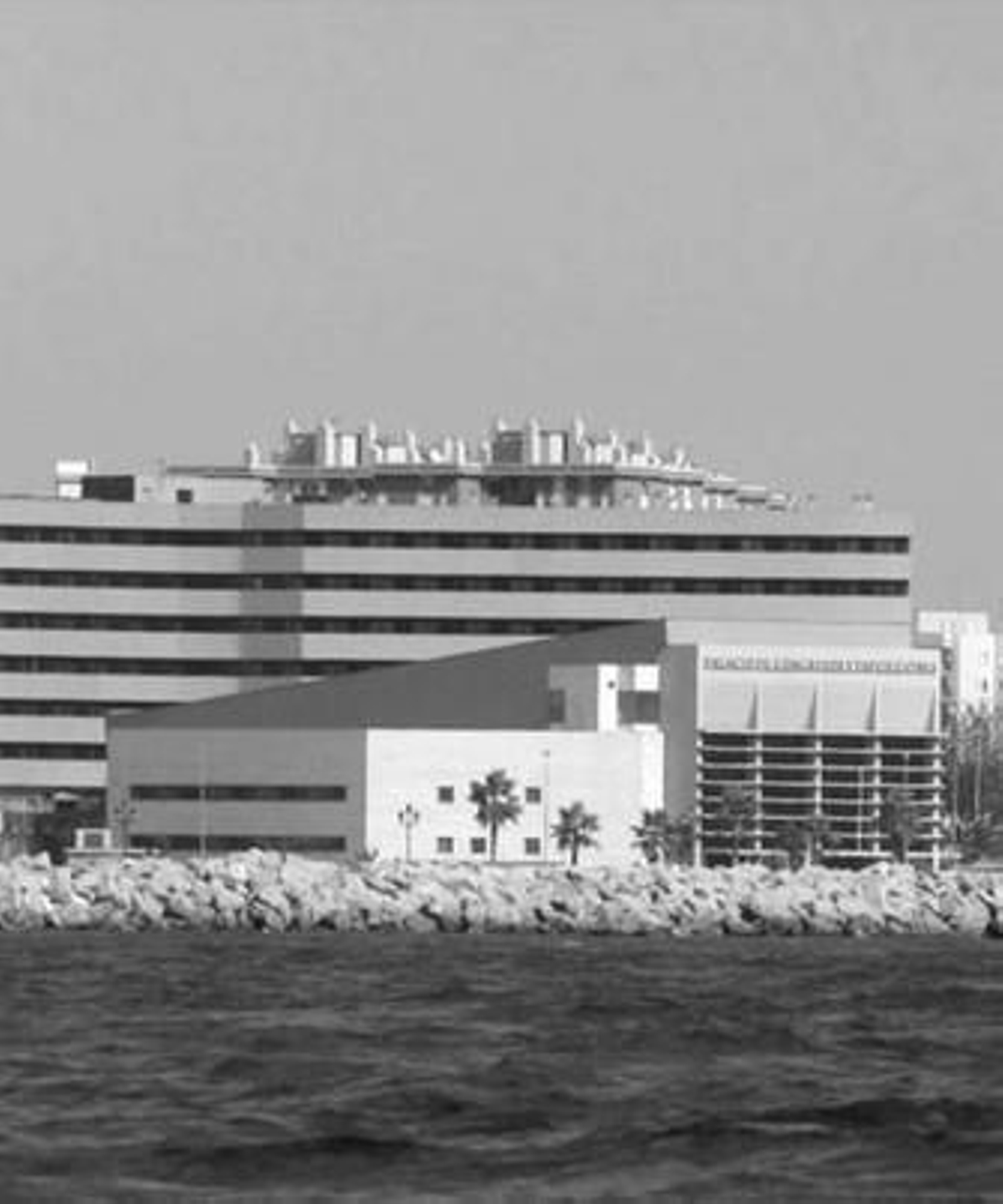 Imagen del Palacio de Congresos y Exposiciones y del Iberostar.