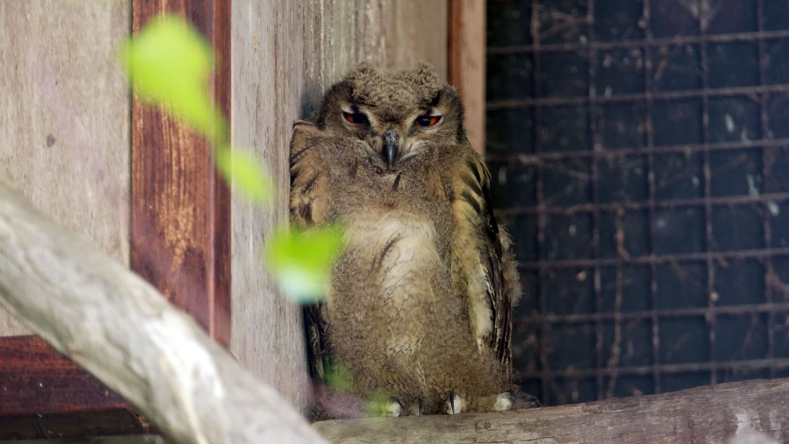 Reapertura del Zoo de Jerez