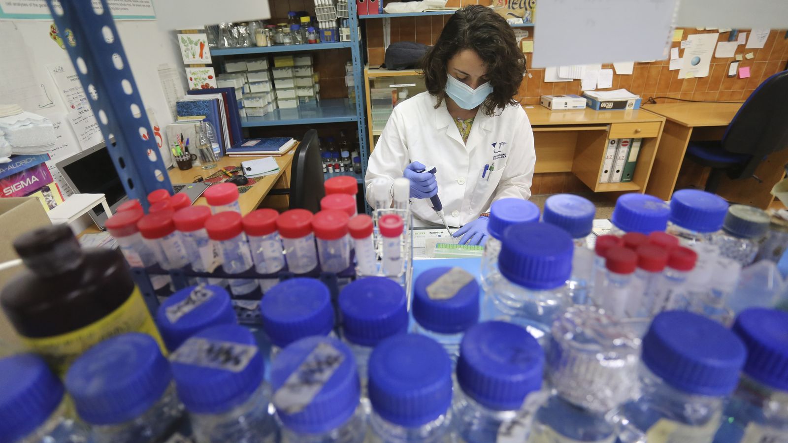 Una investigadora estudia unas muestras en la Facultad de Ciencias.