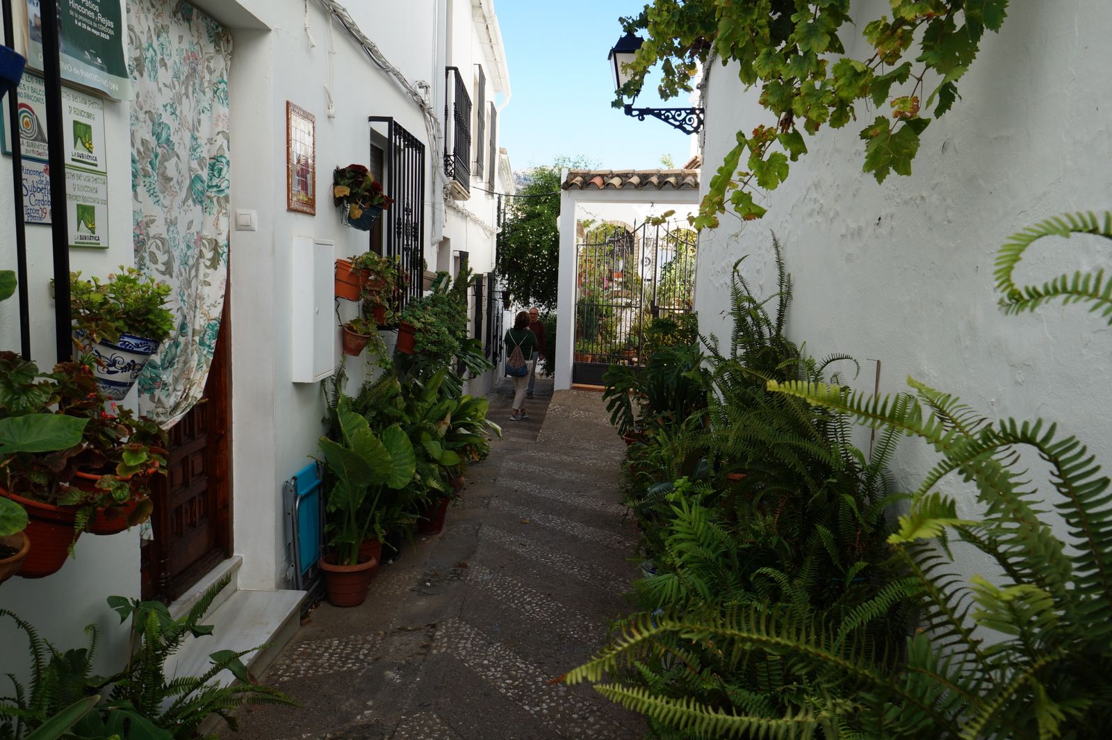 Las fotografías de un paseo por Zuheros, el municipio de Córdoba que resiste libre de covid