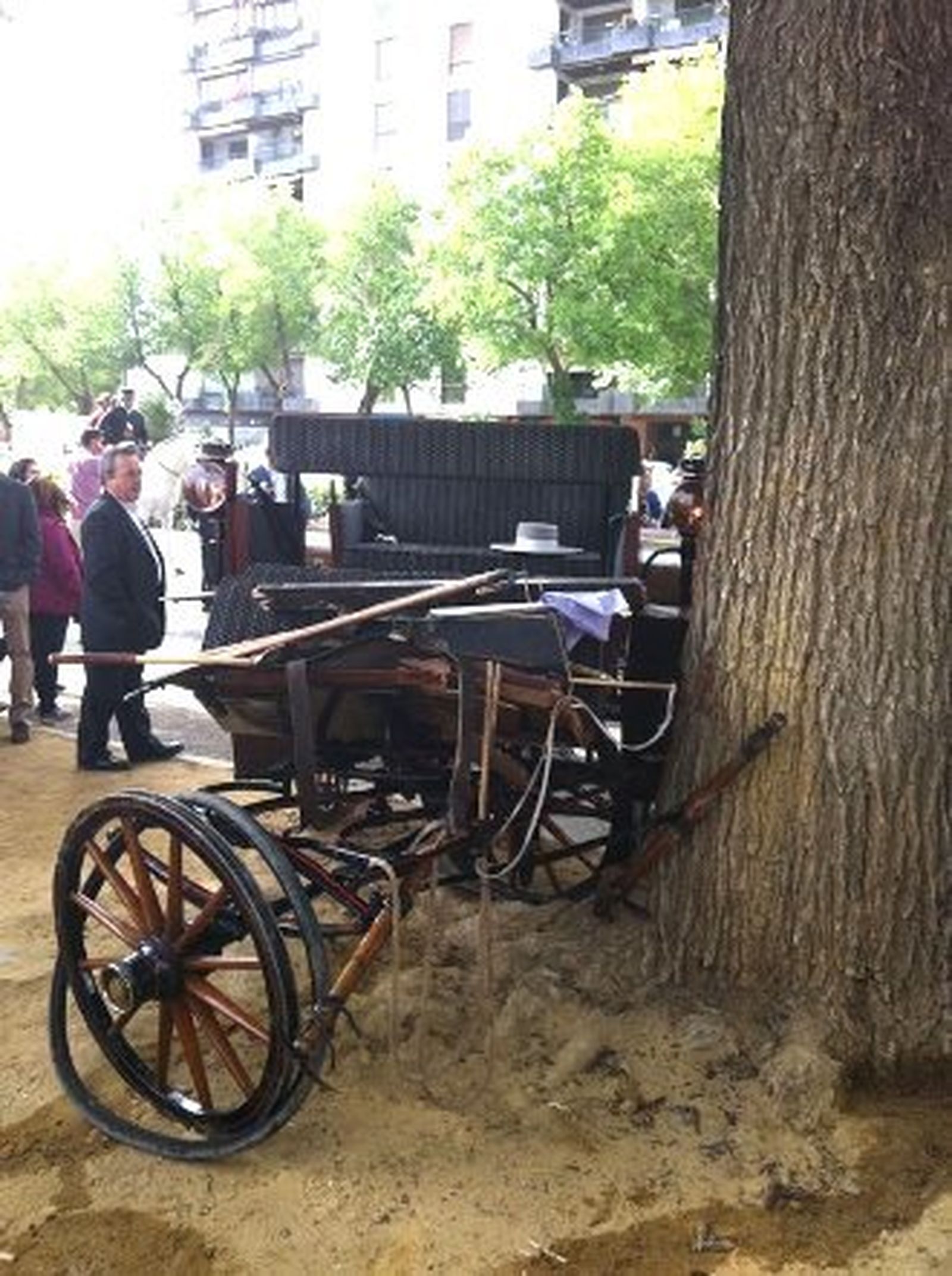 Un caballo desbocado deja 11 heridos, uno de ellos es un menor