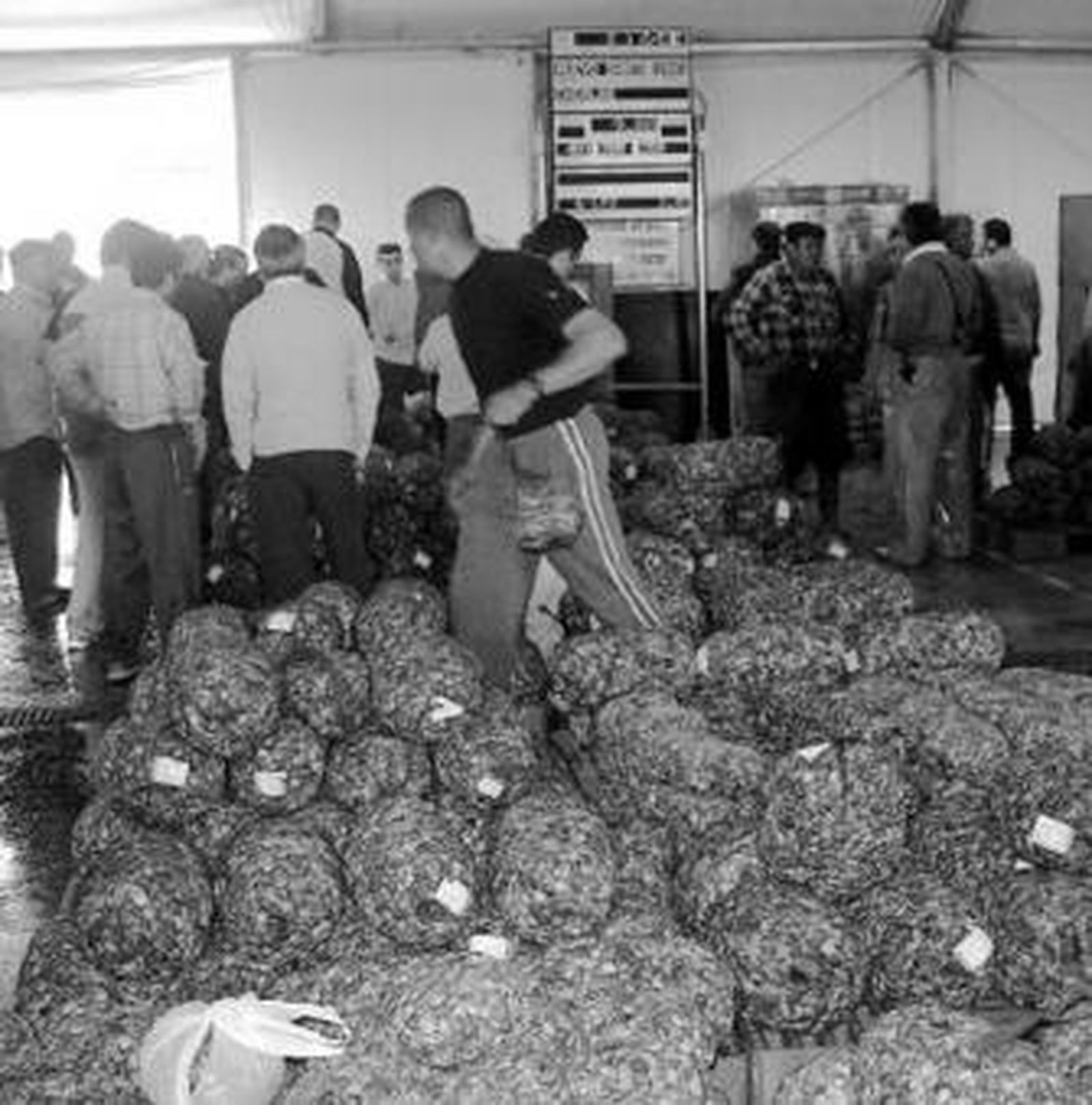 La venta de chirla ayer en la lonja de Punta Umbría.