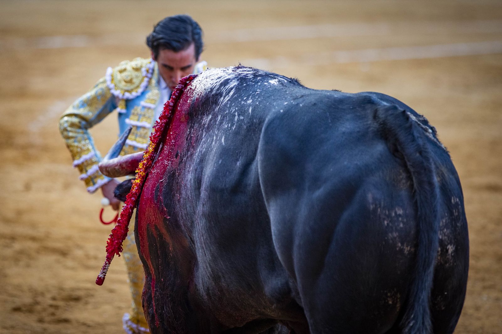 Daniel Crespo, Manzanares y Juan Ortega, en la plaza de toros de El Puerto