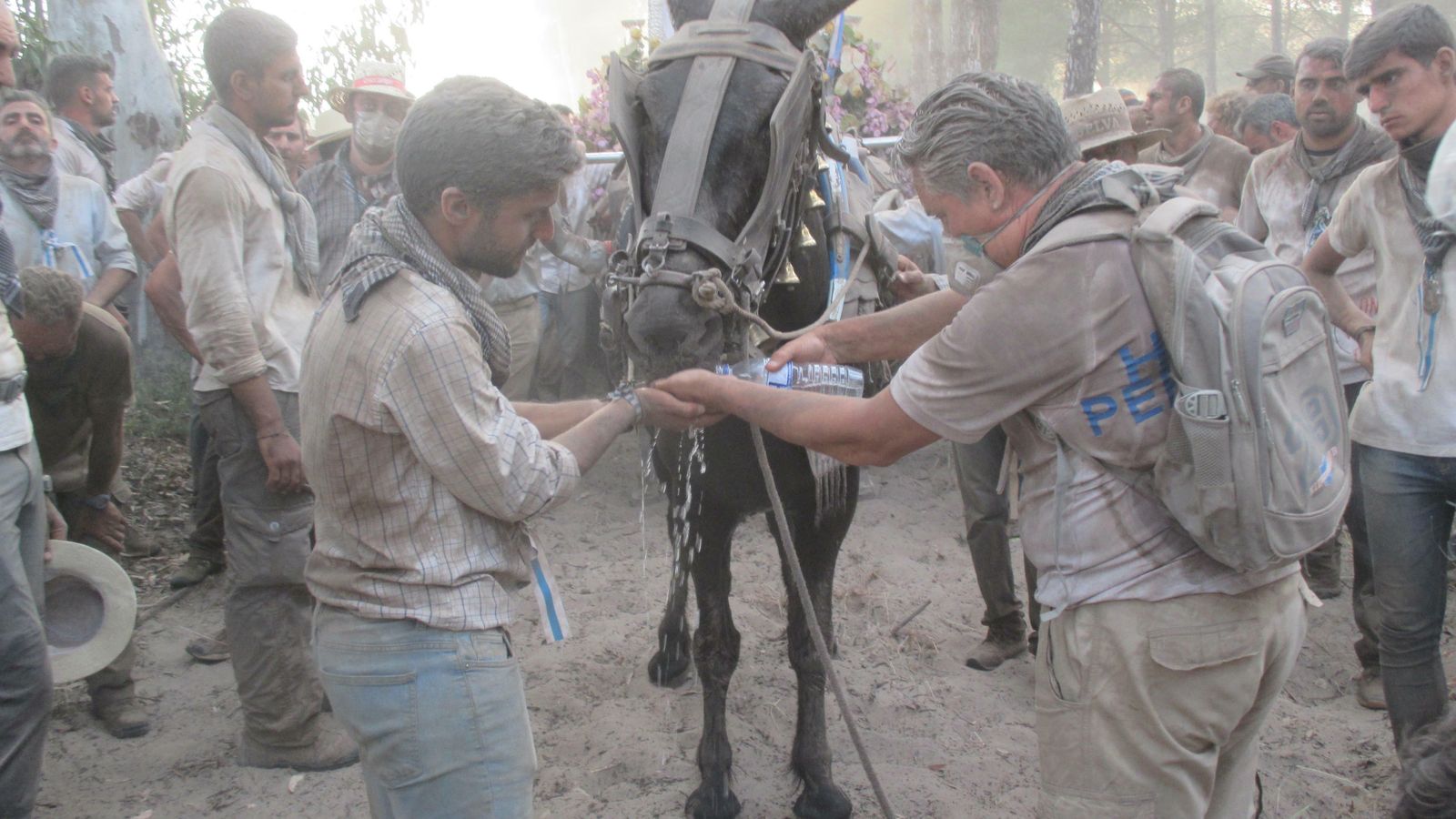 Romeros de la Hermandad de Huelva dan de beber a los caballos.