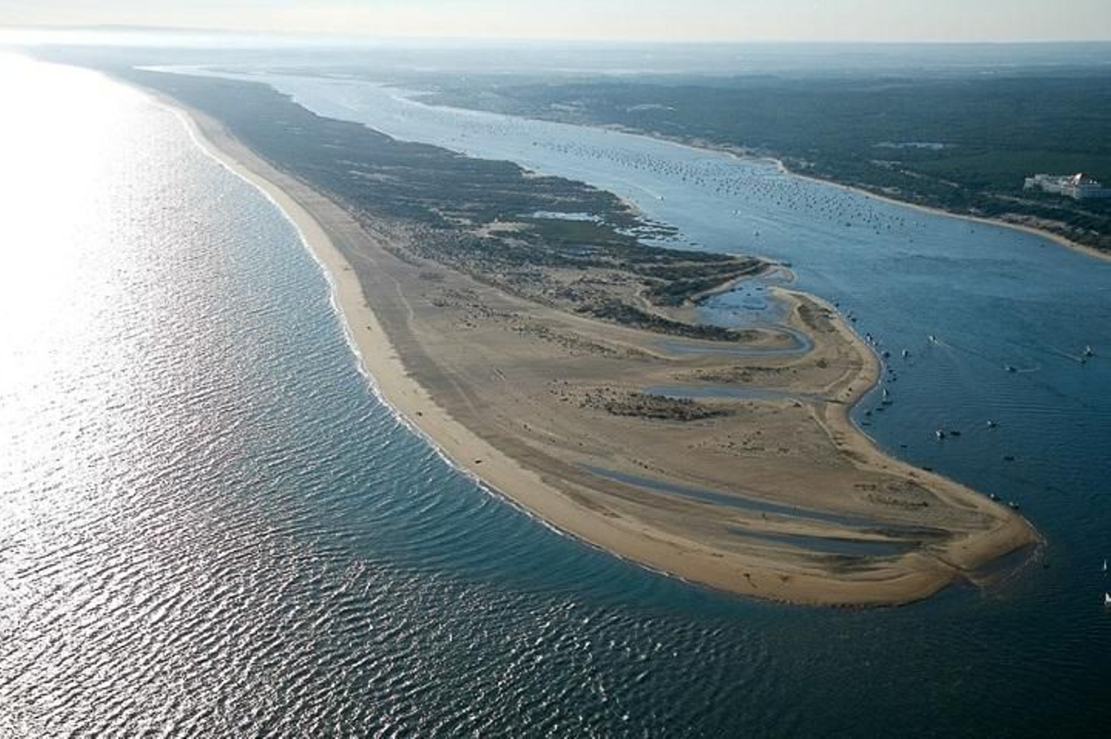 Cruza en ferry a la Flecha del Rompido, una de las más bonitas de España
