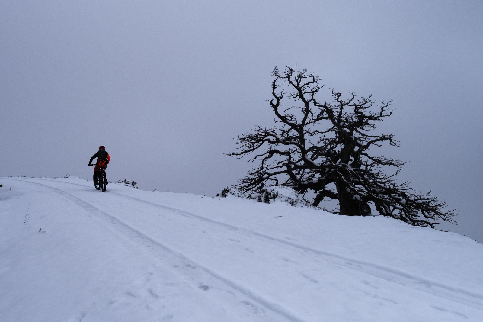La ruta por la nieve en el Parque Nacional Sierra de las Nievas, en imágenes