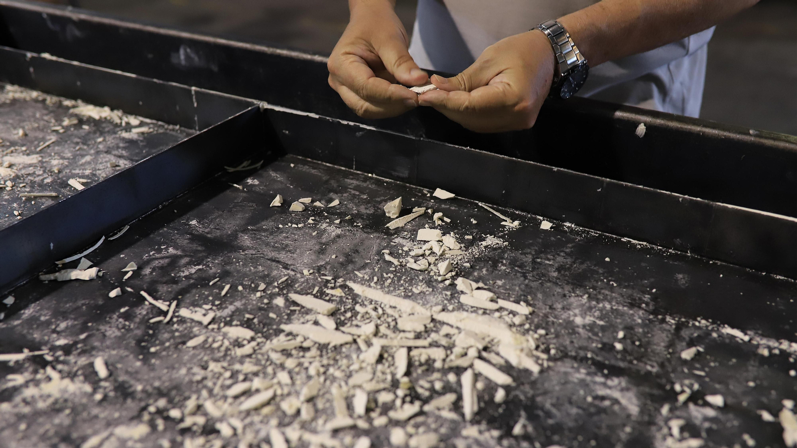 Madre Coraje presenta su memoria de 2020 y repasa sus principales acciones