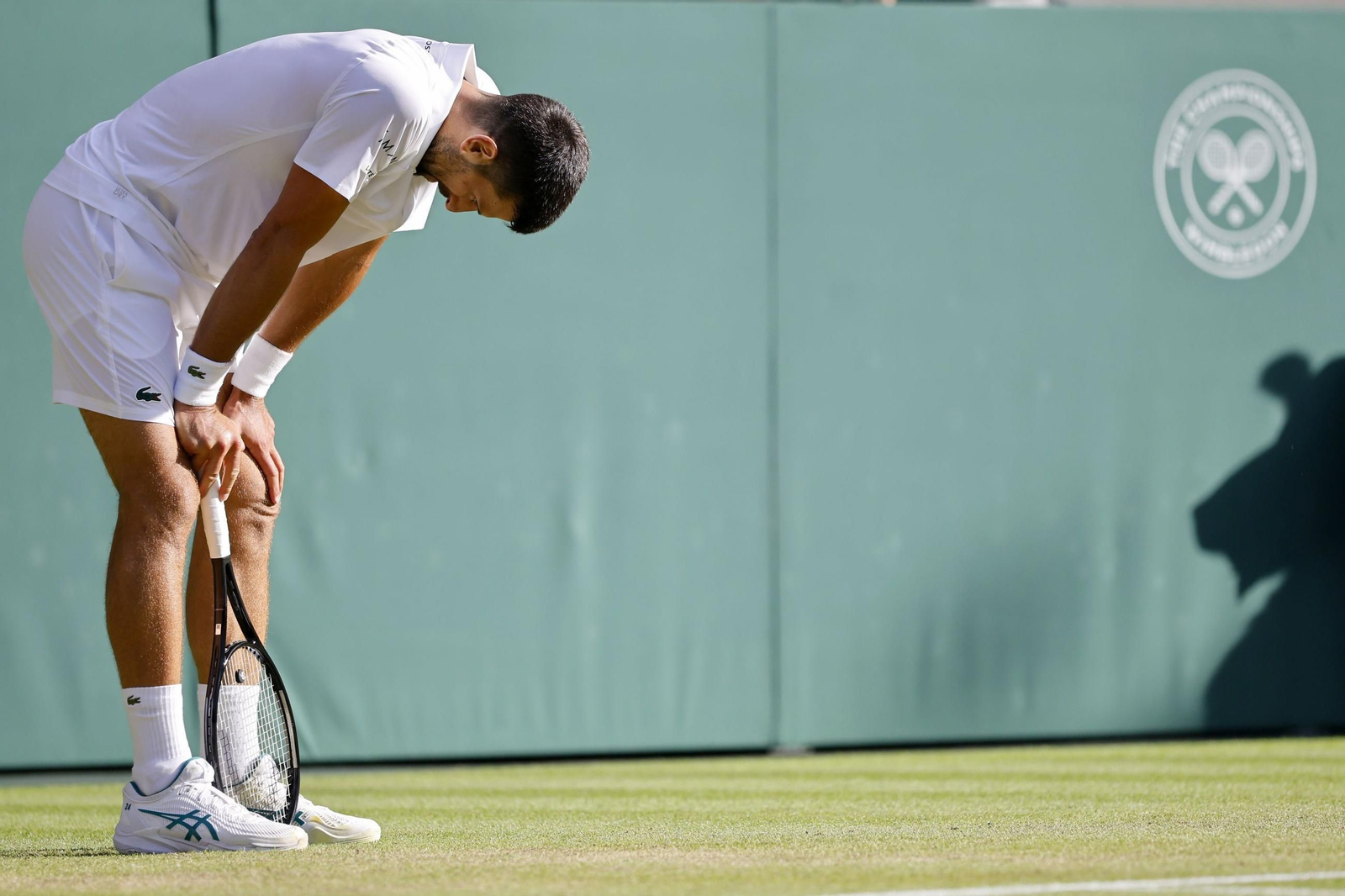 Las fotos de Wimbledon con las clasificaciones de Djokovic y Sinner