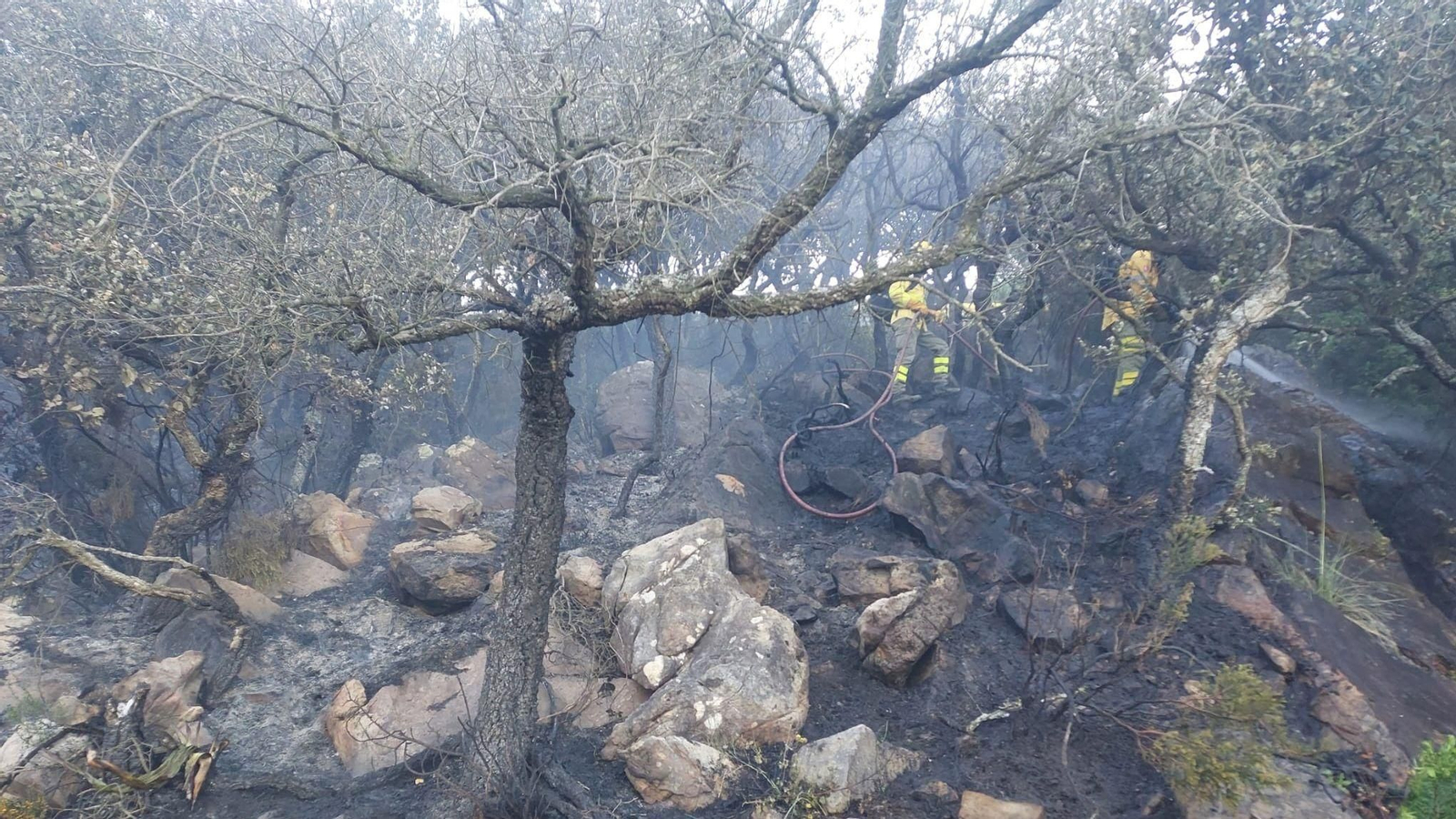 Los bomberos extinguen un conato de incendio forestal en El Cuartón. Los bomberos extinguen un conato de incendio forestal en El Cuartón.