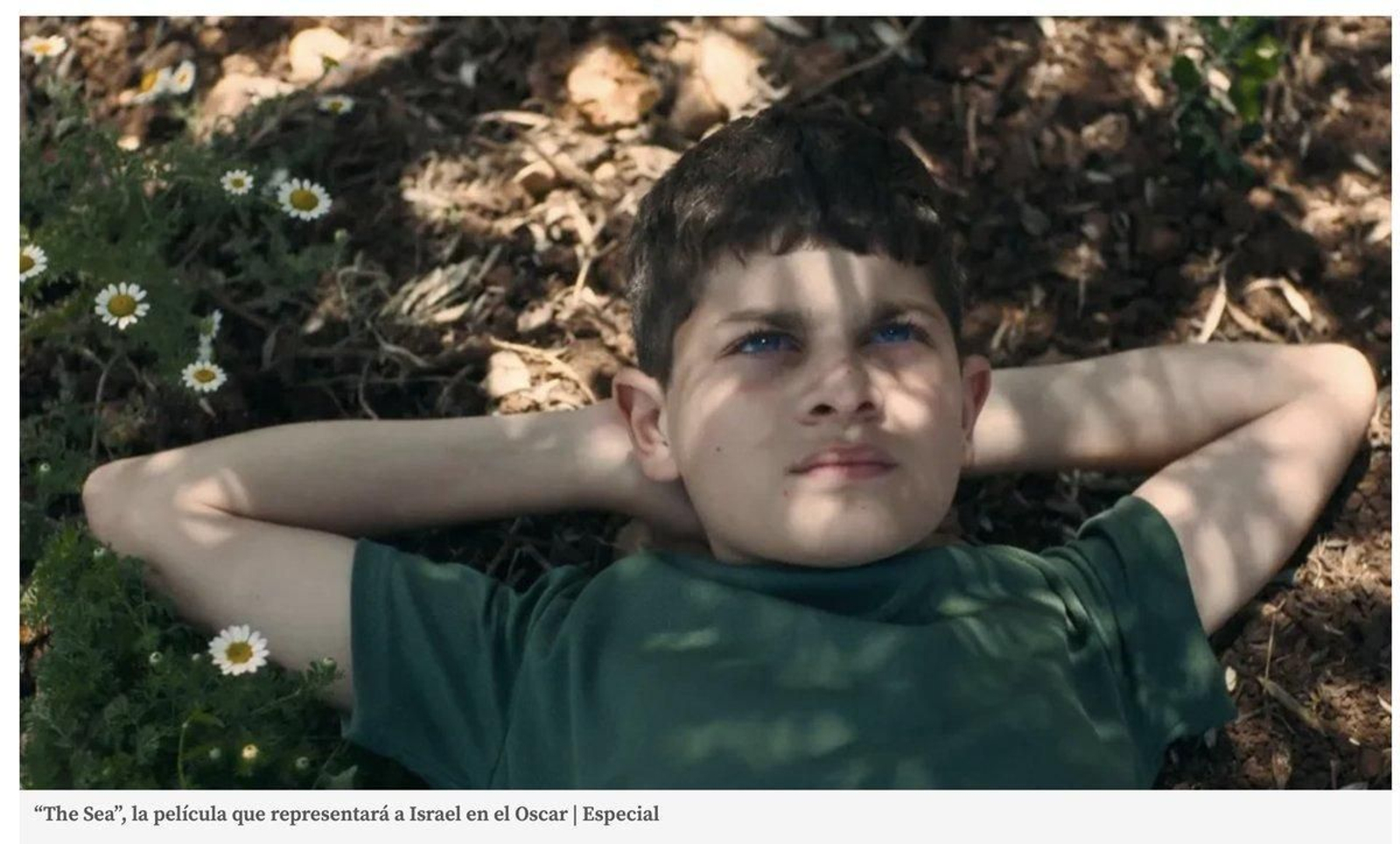 El niño protagonista de 'The sea', en un fotograma de la película.