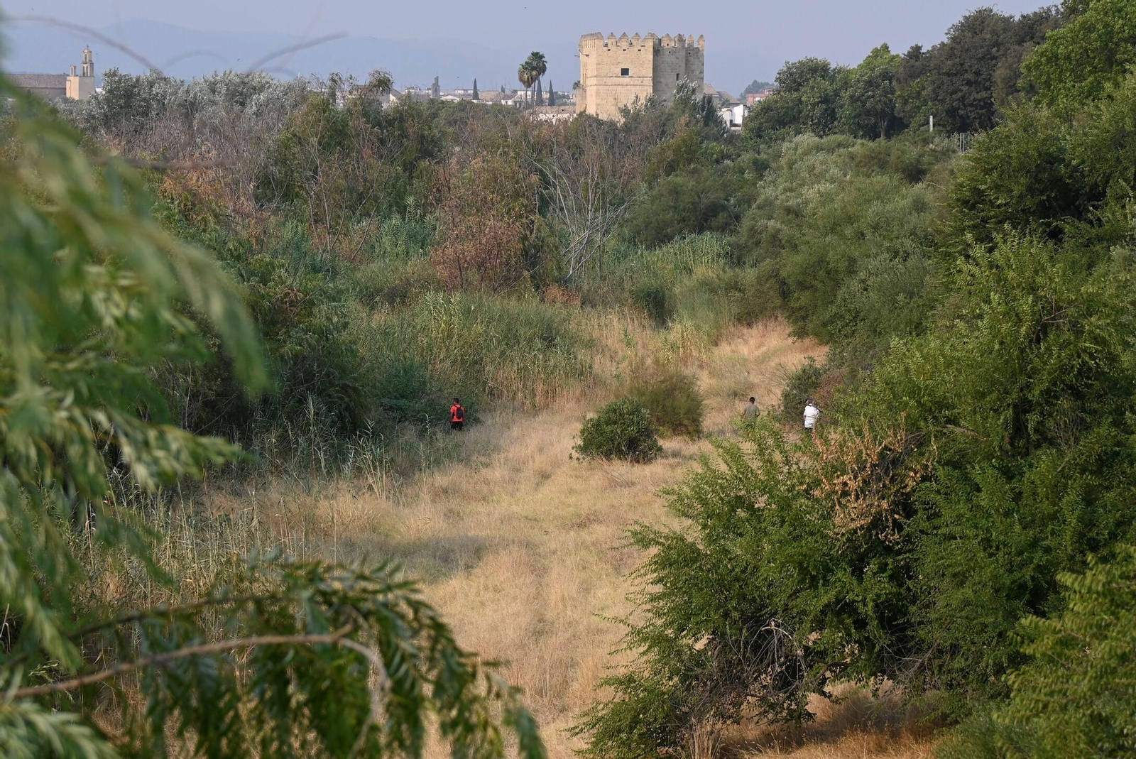 Búsqueda en los Sotos de la Albolafia.