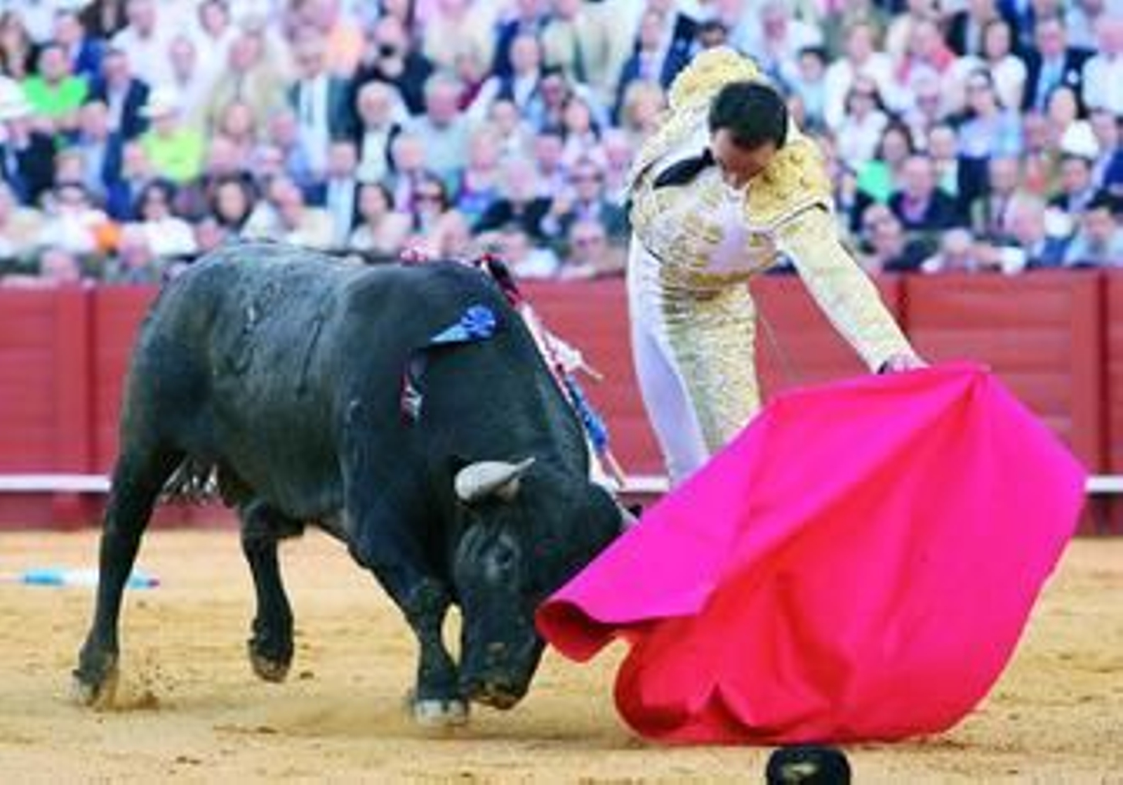El Cid, en un muletazo al cuarto toro, al que toreó bien al natural.