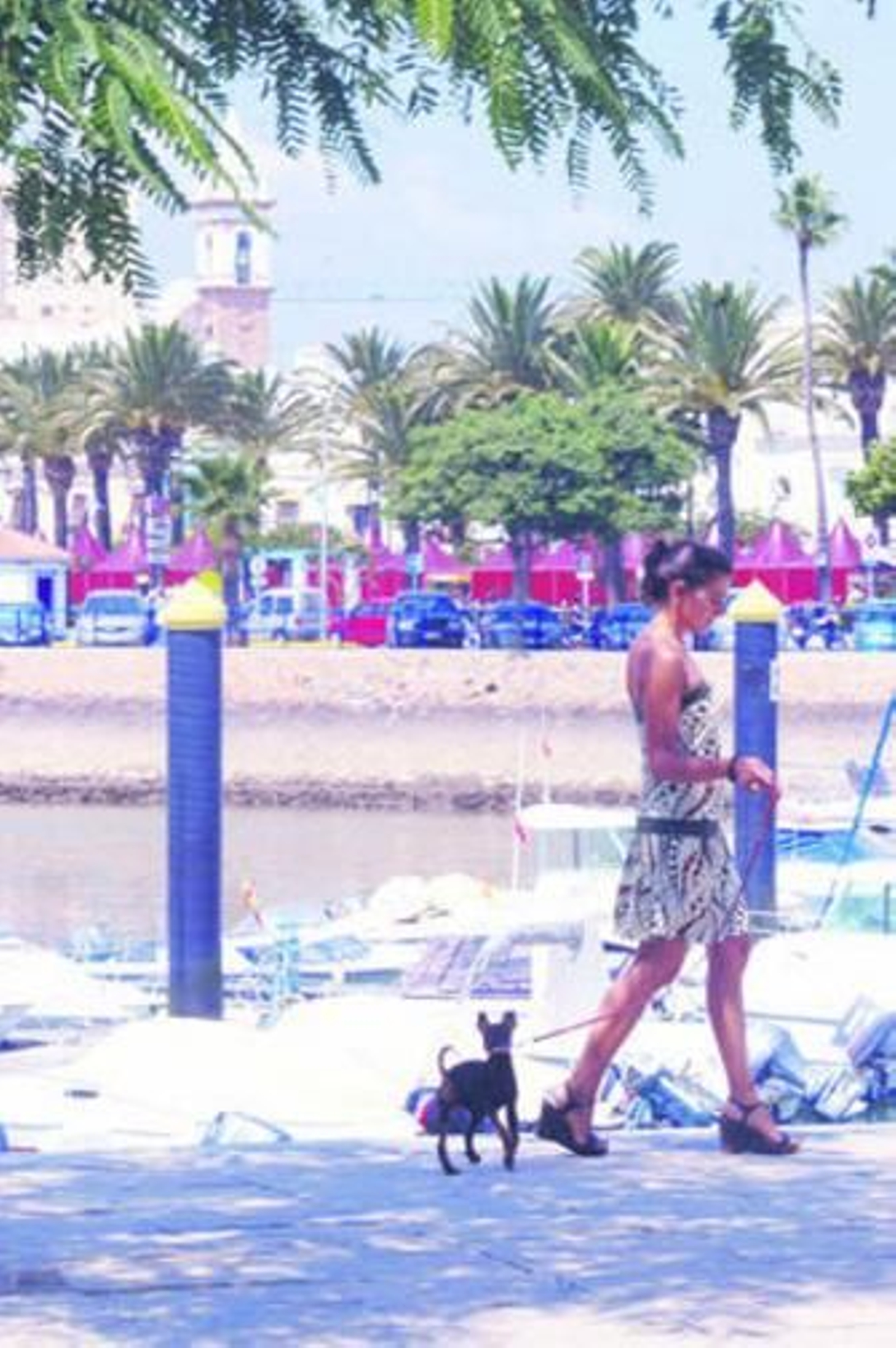 Joven con perro en Ayamonte. Joven con perro en Ayamonte.